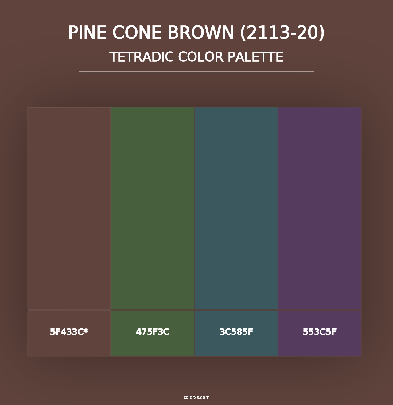 Pine Cone Brown (2113-20) - Tetradic Color Palette