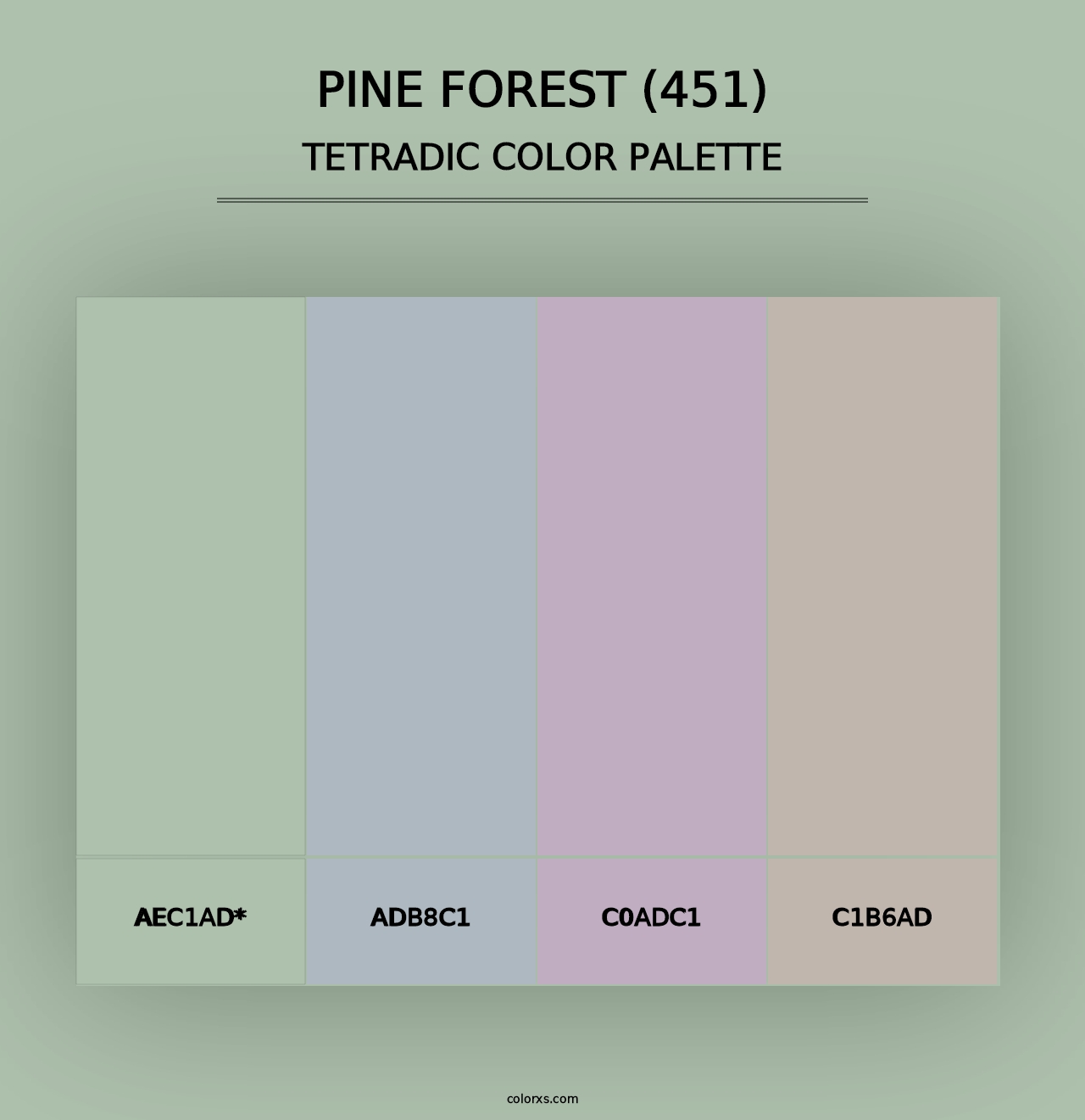 Pine Forest (451) - Tetradic Color Palette