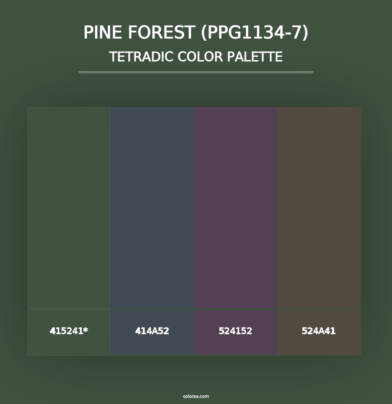 Pine Forest (PPG1134-7) - Tetradic Color Palette