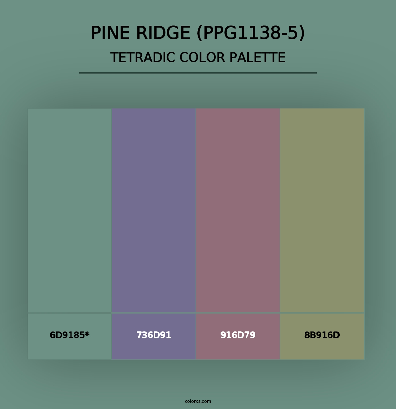 Pine Ridge (PPG1138-5) - Tetradic Color Palette