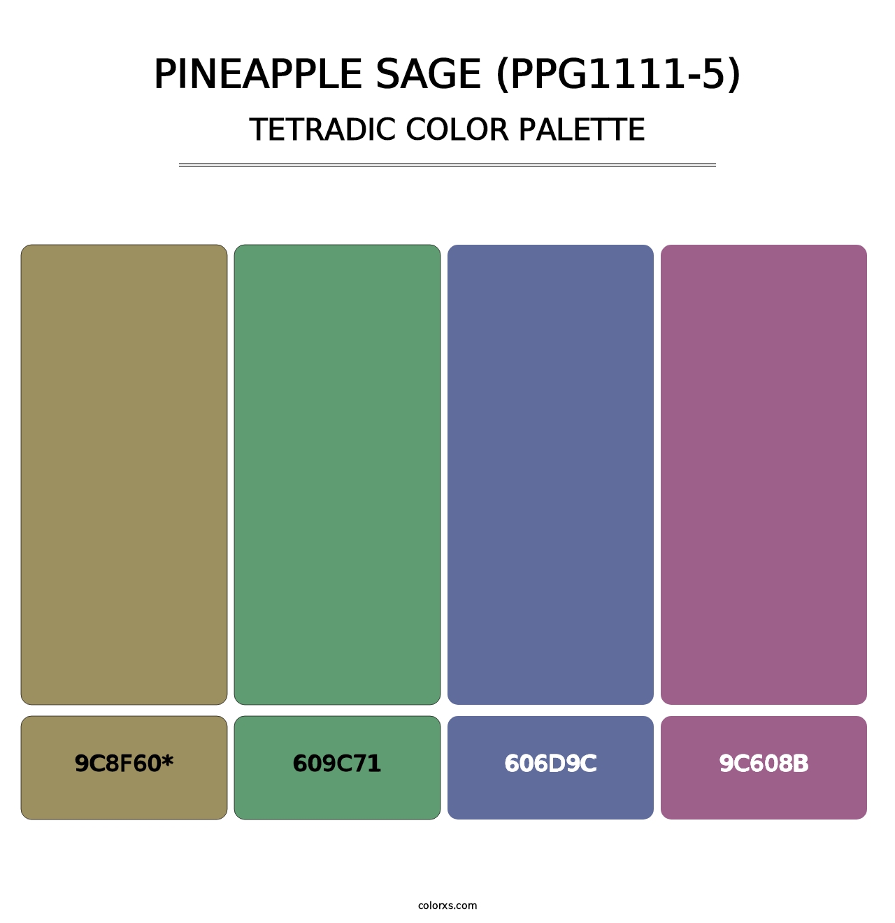 Pineapple Sage (PPG1111-5) - Tetradic Color Palette