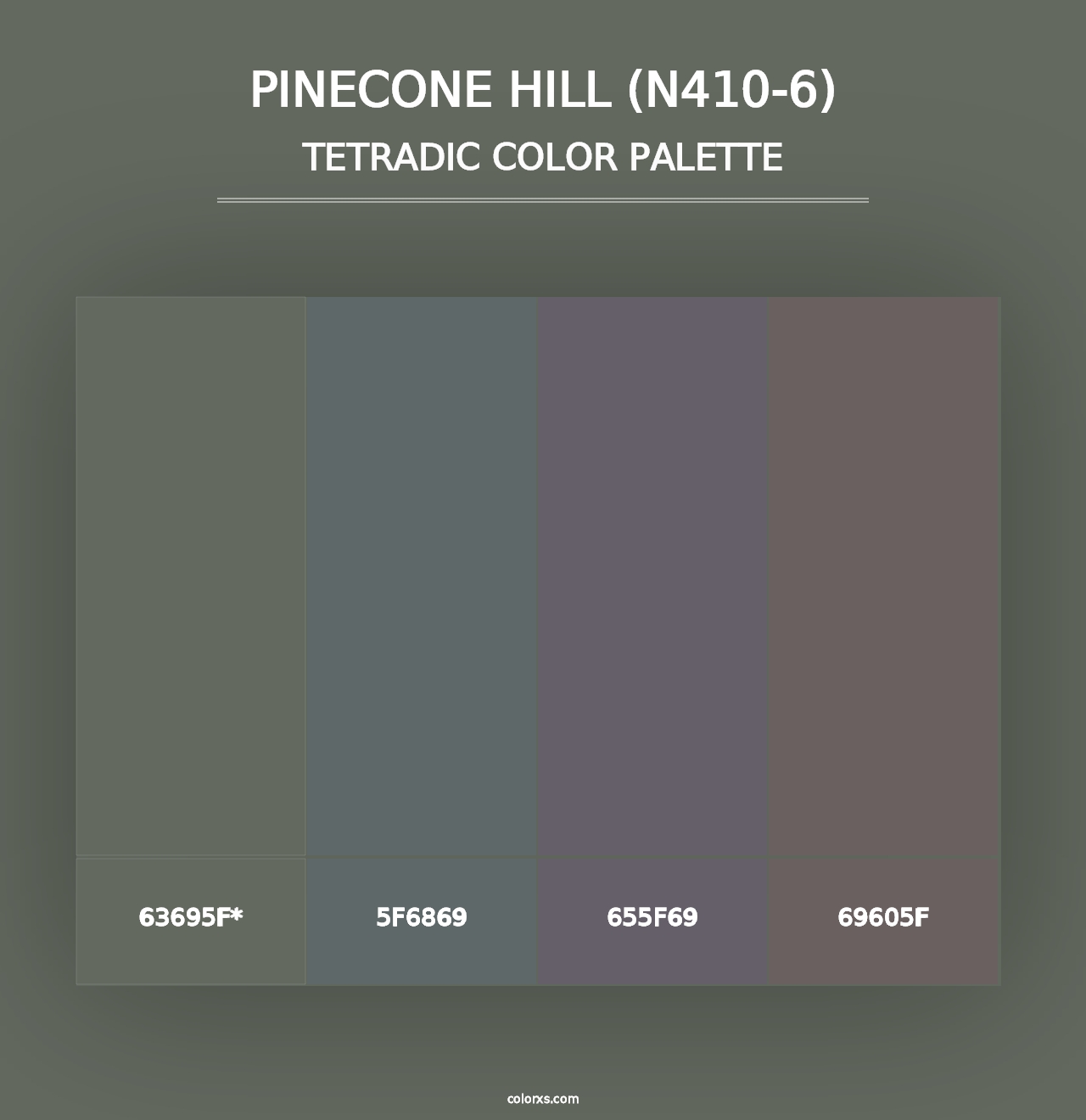 Pinecone Hill (N410-6) - Tetradic Color Palette