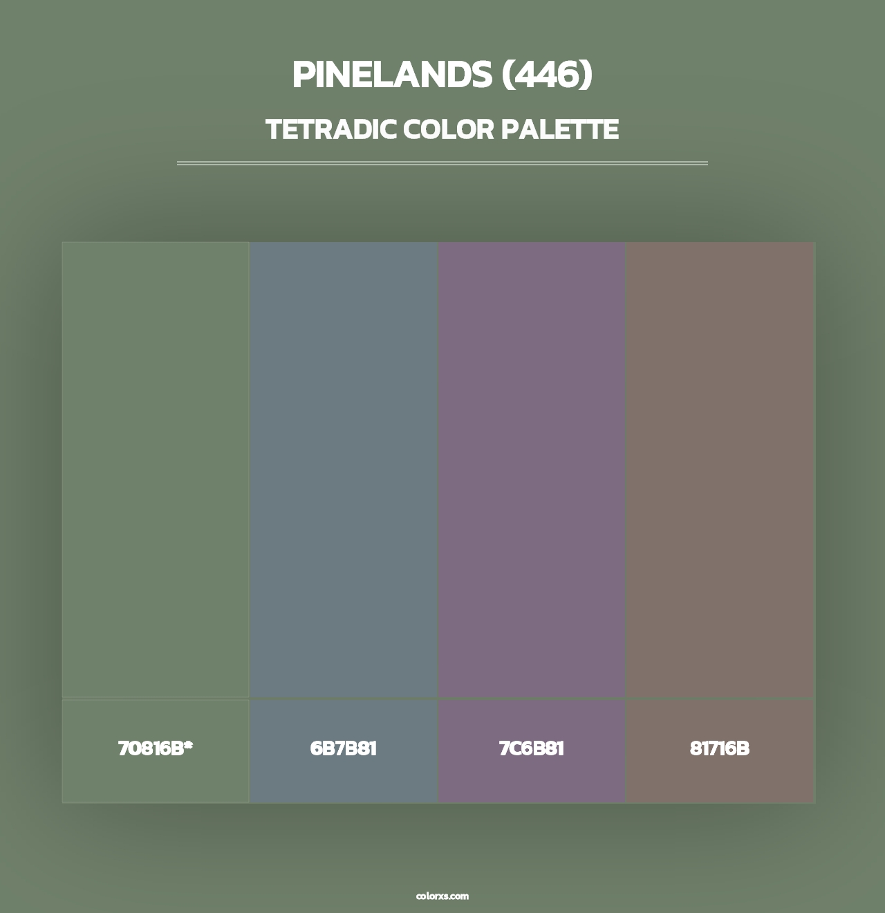 Pinelands (446) - Tetradic Color Palette