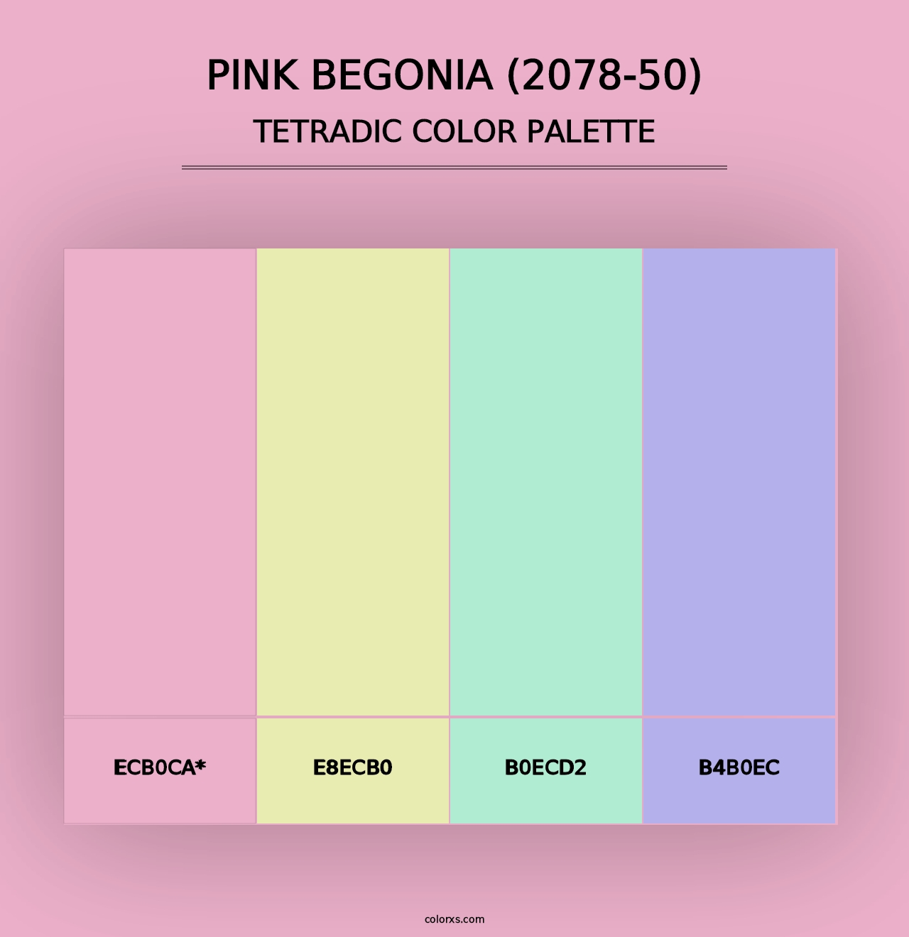 Pink Begonia (2078-50) - Tetradic Color Palette