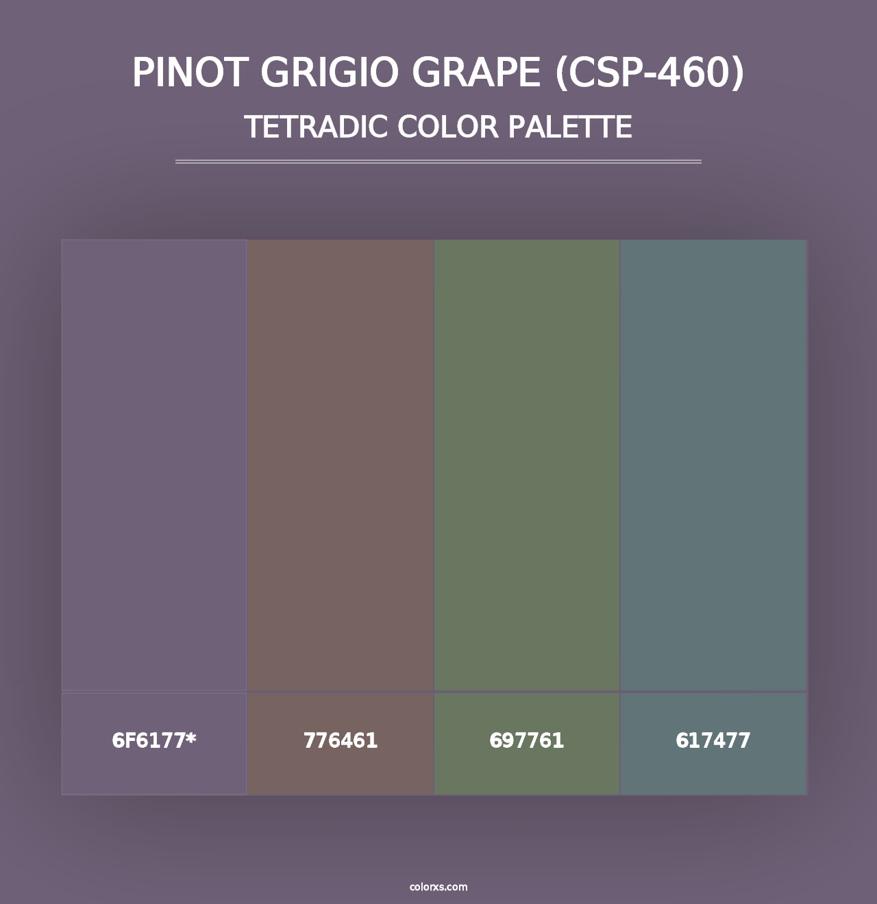 Pinot Grigio Grape (CSP-460) - Tetradic Color Palette