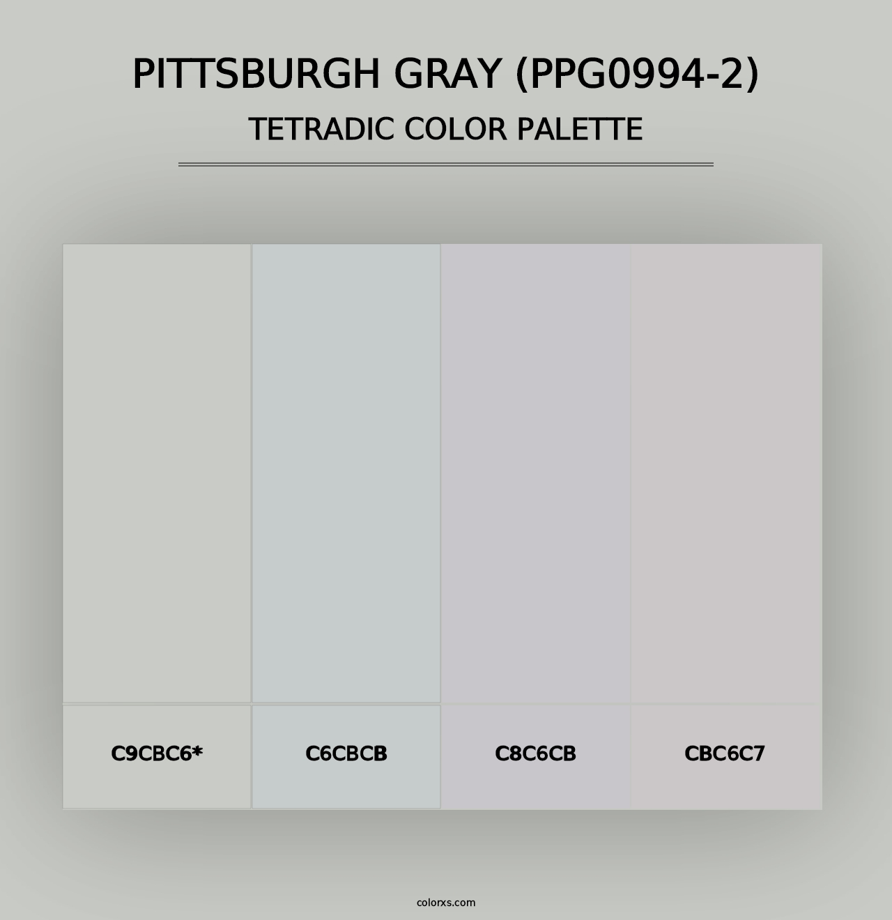 Pittsburgh Gray (PPG0994-2) - Tetradic Color Palette