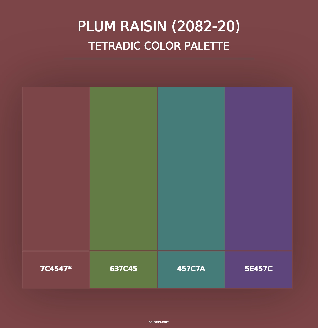 Plum Raisin (2082-20) - Tetradic Color Palette