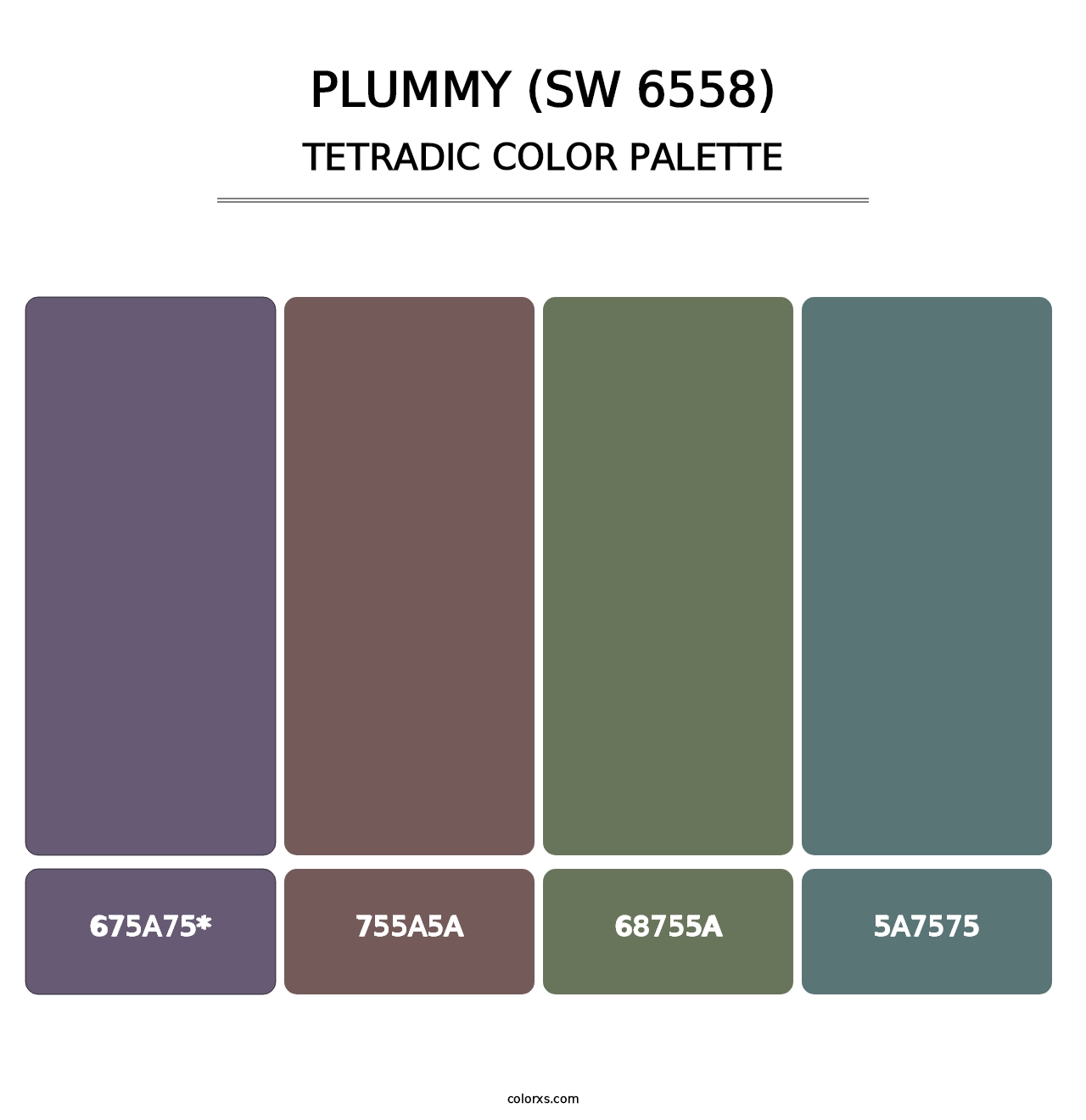 Plummy (SW 6558) - Tetradic Color Palette