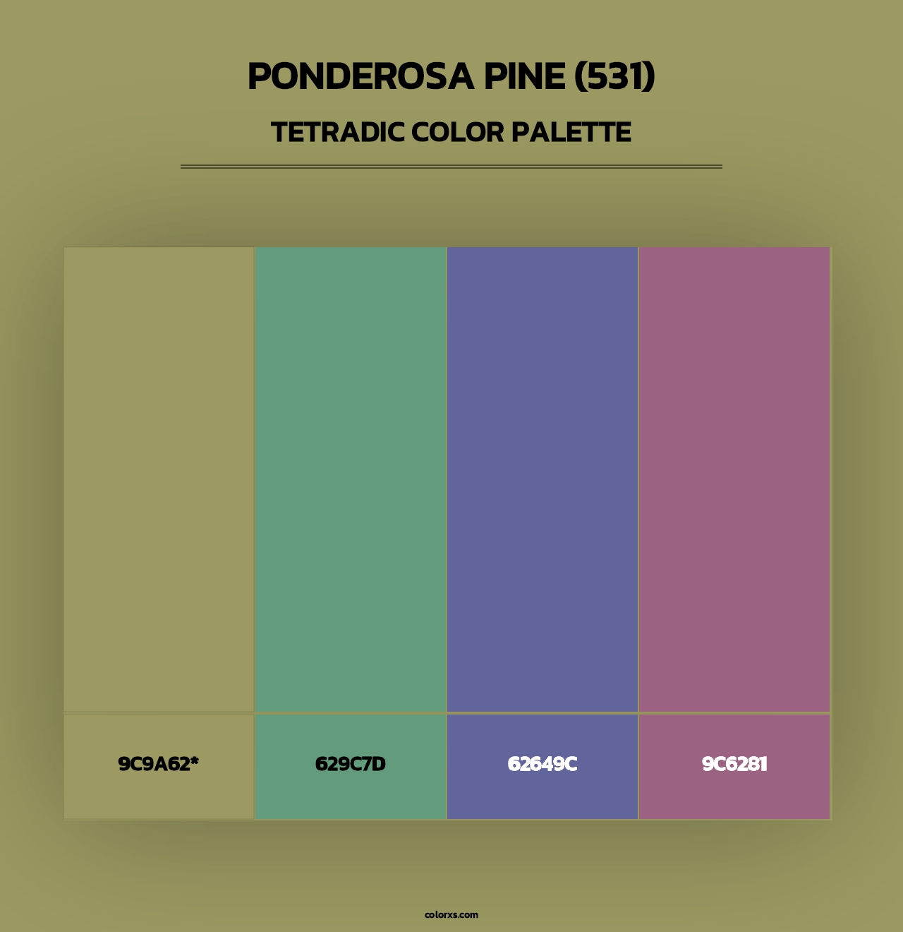 Ponderosa Pine (531) - Tetradic Color Palette