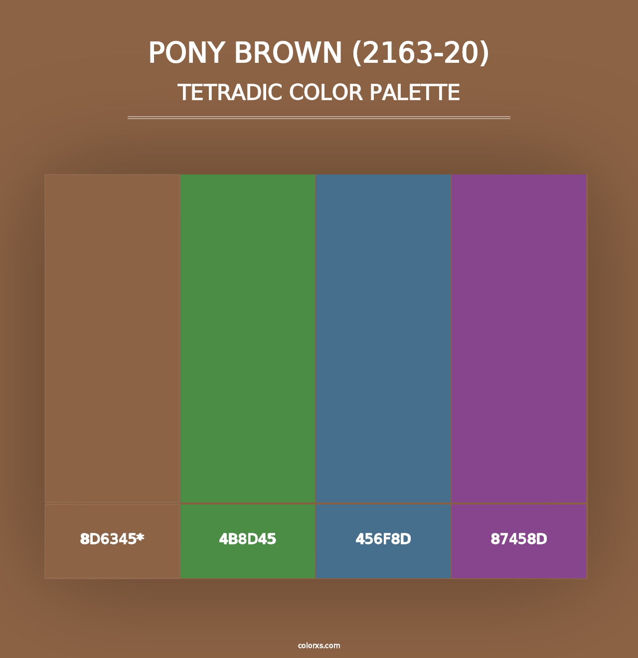 Pony Brown (2163-20) - Tetradic Color Palette