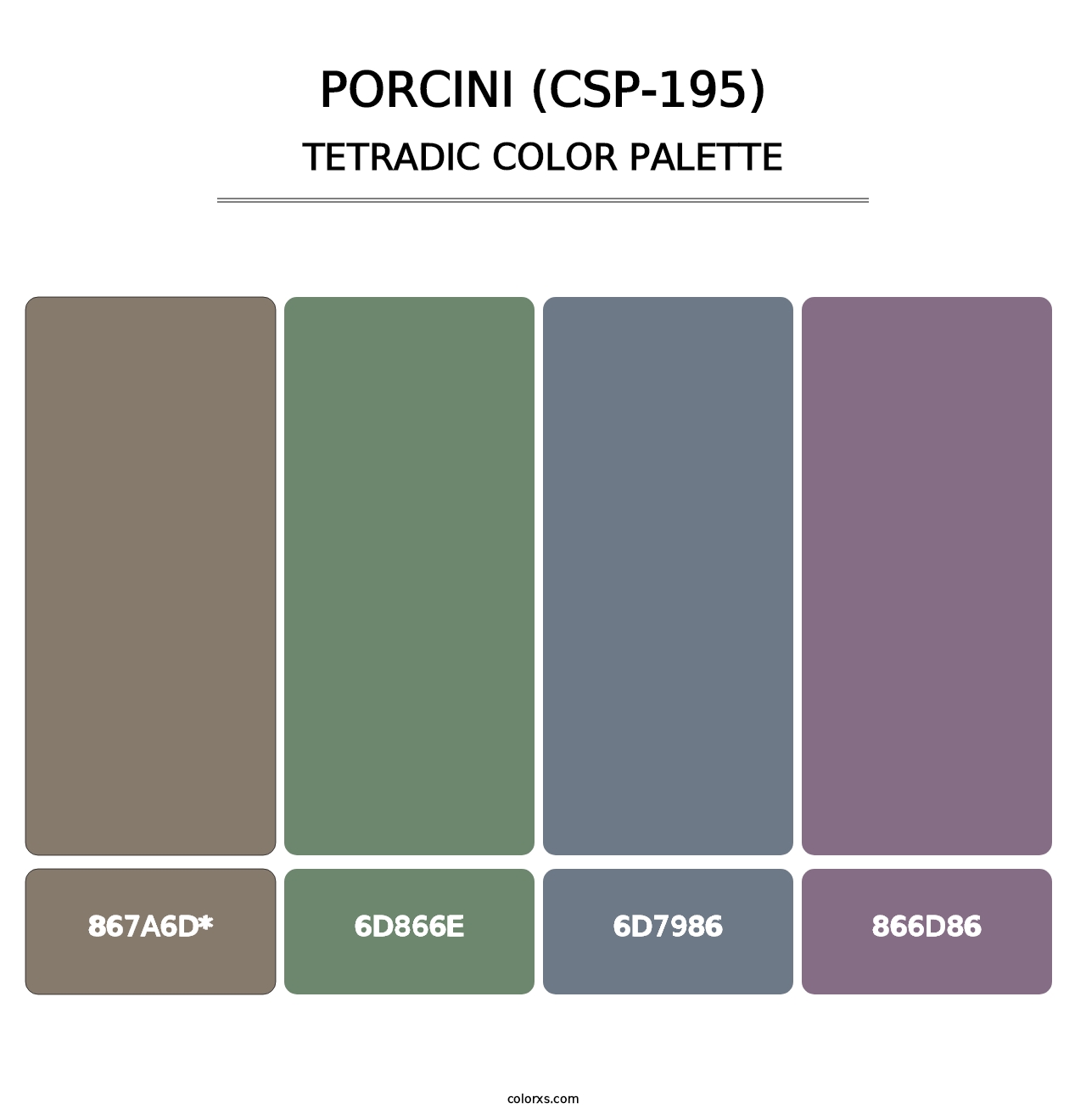 Porcini (CSP-195) - Tetradic Color Palette