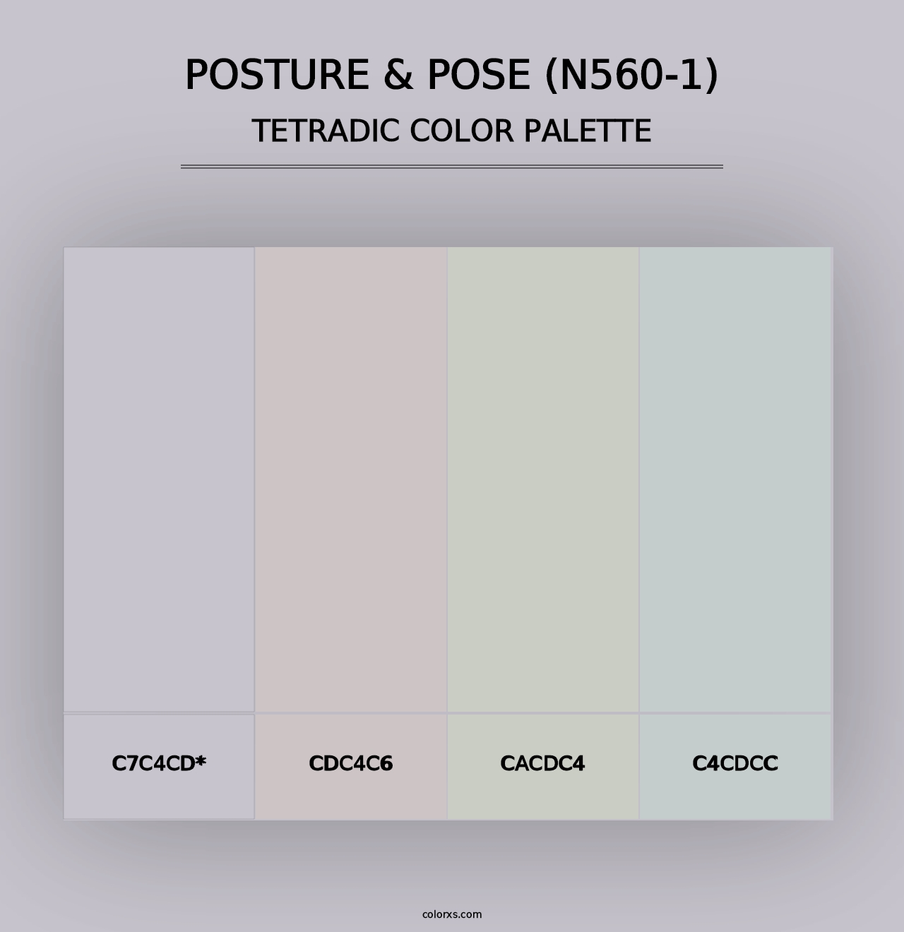 Posture & Pose (N560-1) - Tetradic Color Palette