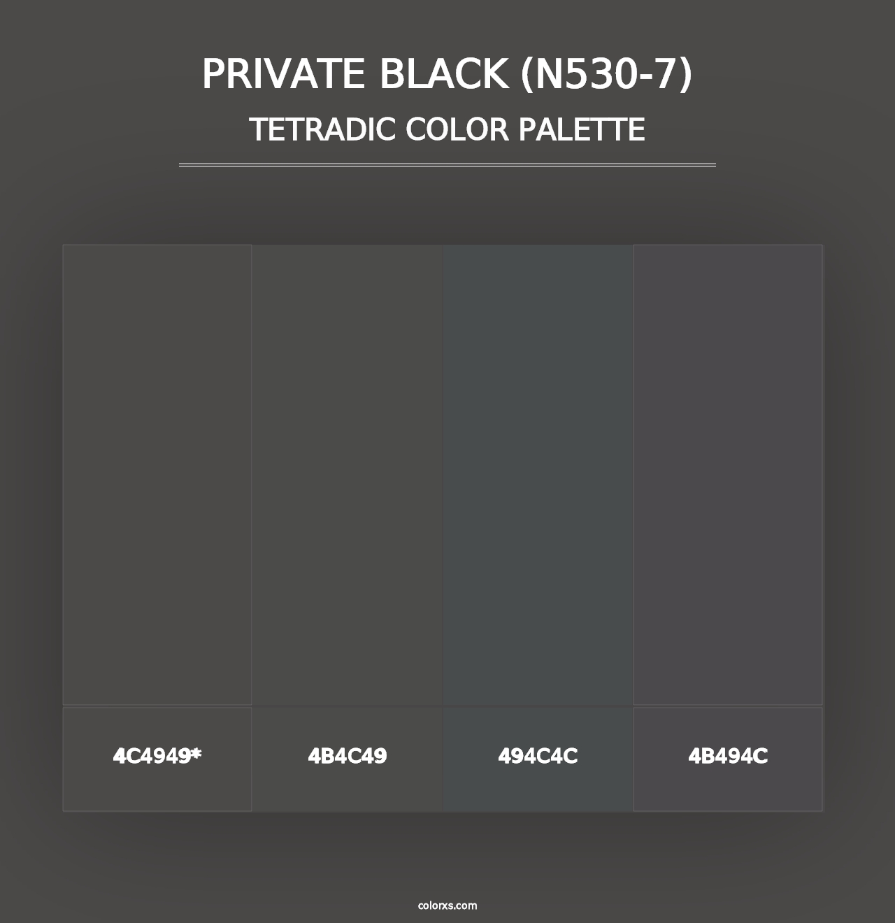 Private Black (N530-7) - Tetradic Color Palette