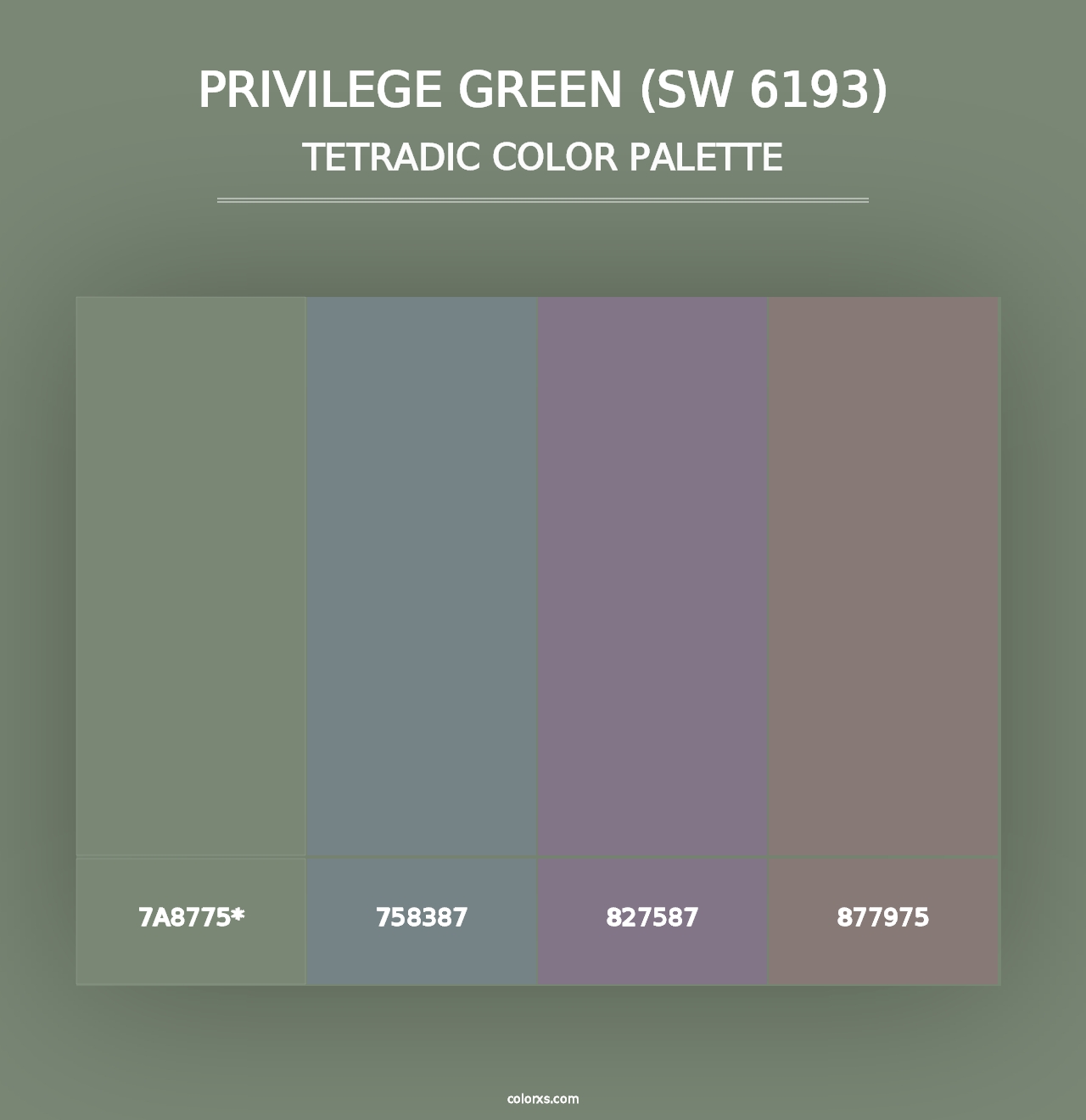 Privilege Green (SW 6193) - Tetradic Color Palette