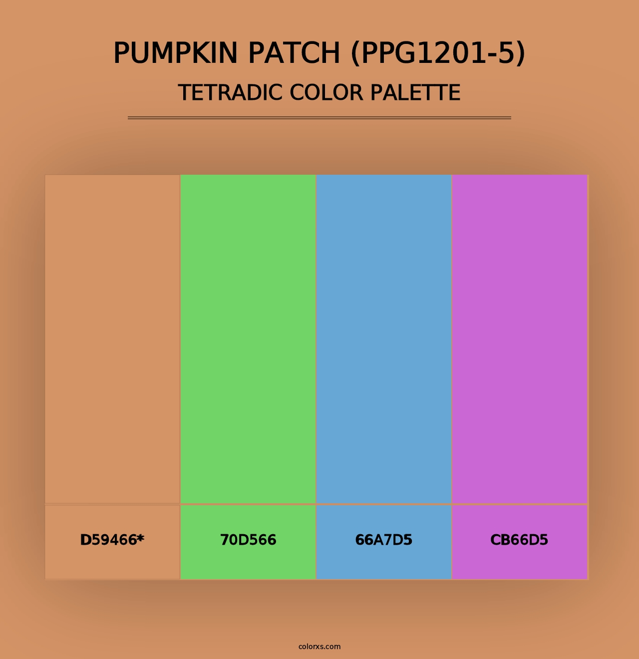 Pumpkin Patch (PPG1201-5) - Tetradic Color Palette