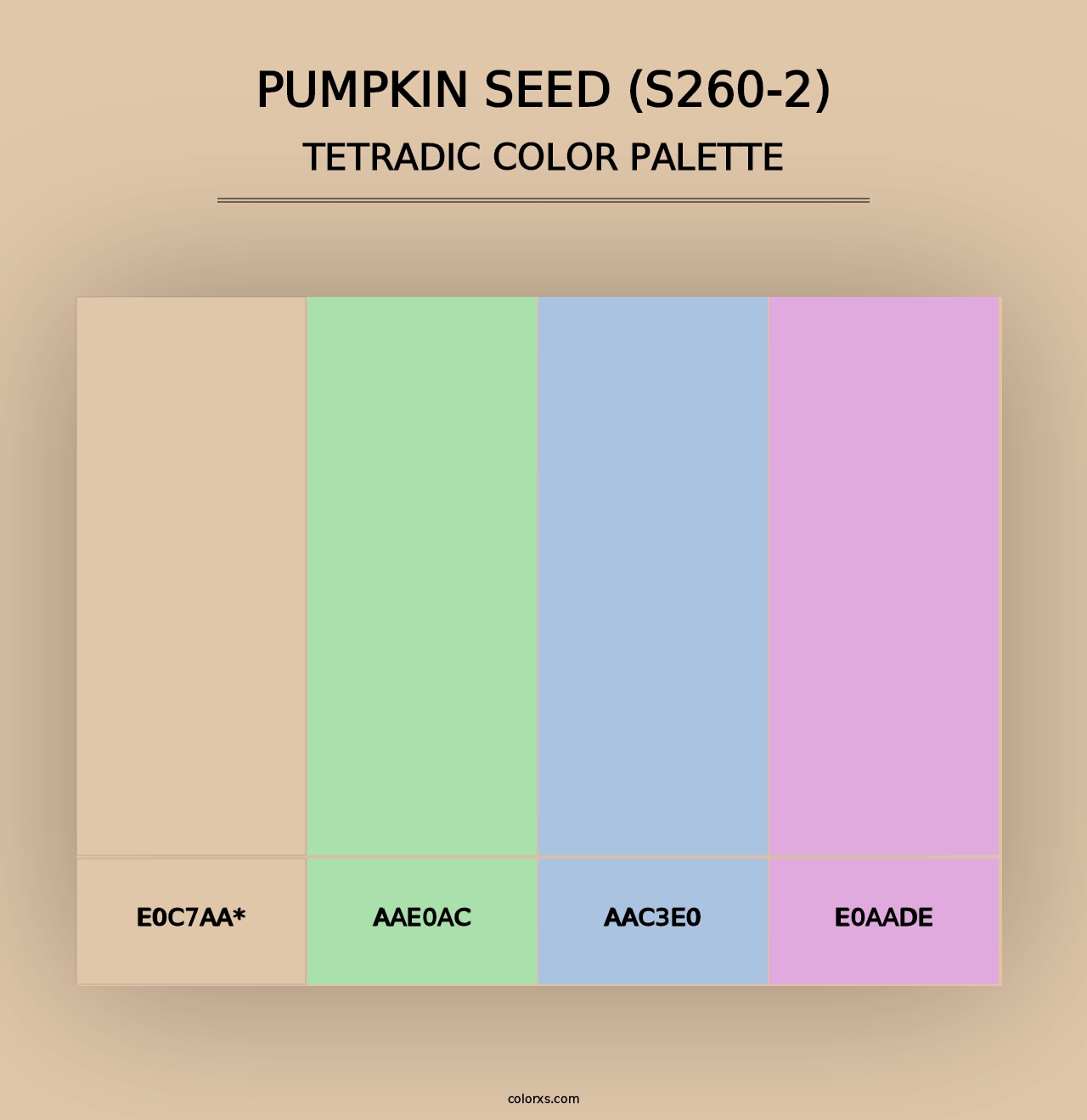 Pumpkin Seed (S260-2) - Tetradic Color Palette