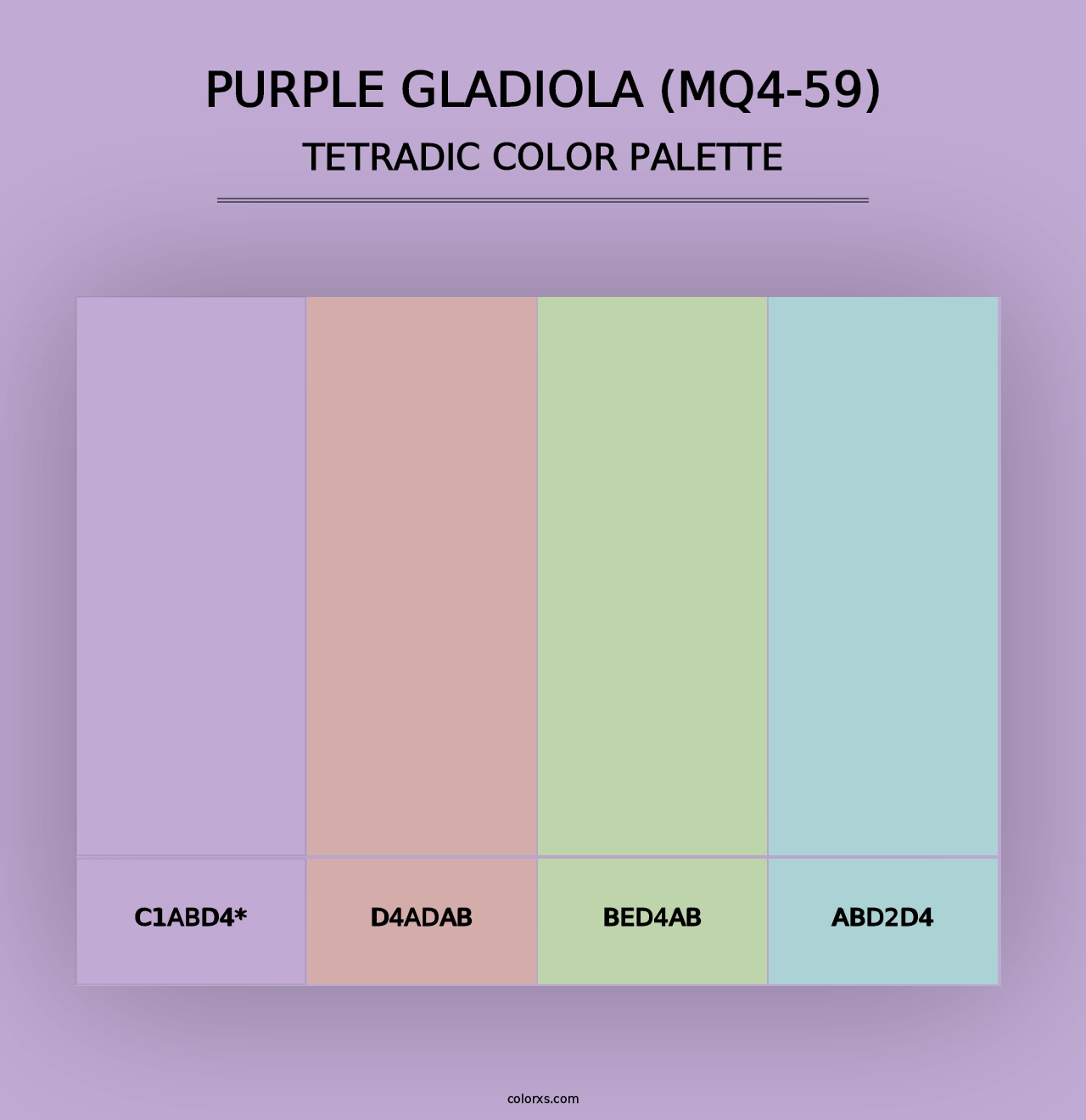 Purple Gladiola (MQ4-59) - Tetradic Color Palette