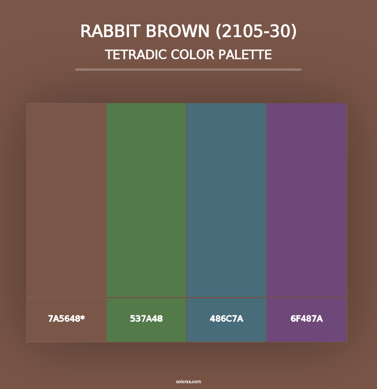 Rabbit Brown (2105-30) - Tetradic Color Palette