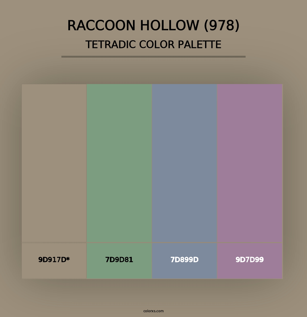 Raccoon Hollow (978) - Tetradic Color Palette