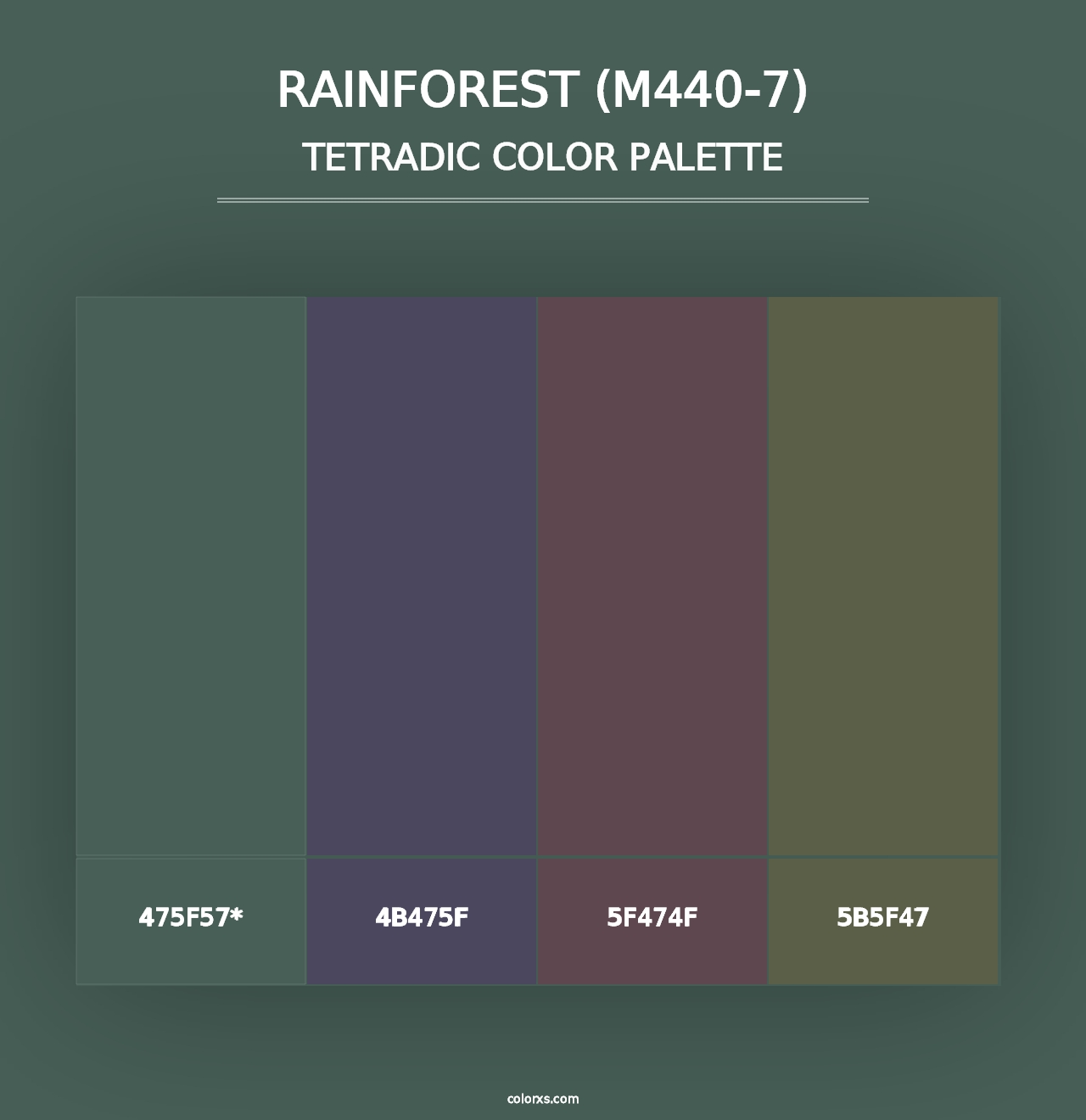 Rainforest (M440-7) - Tetradic Color Palette