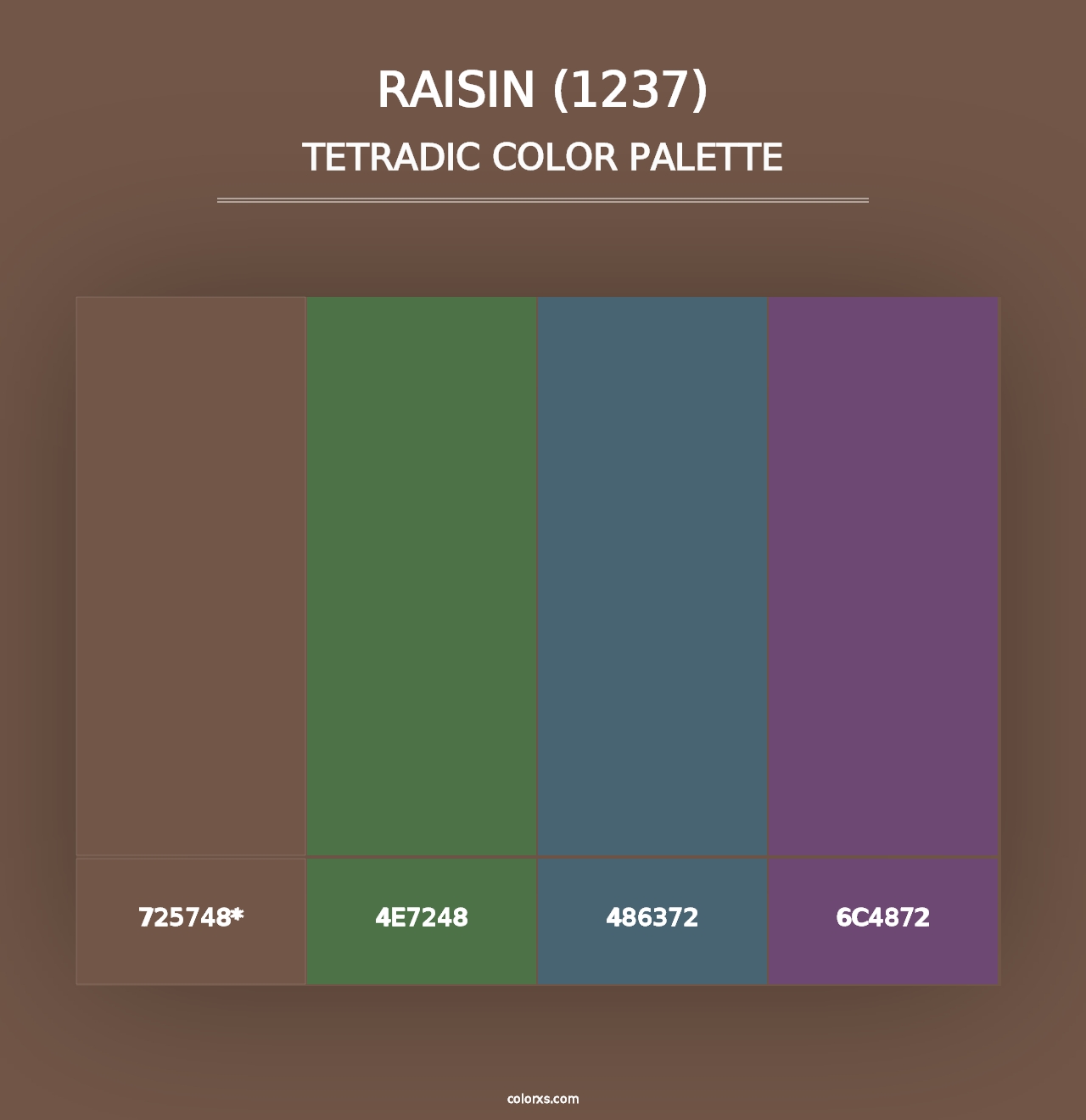 Raisin (1237) - Tetradic Color Palette