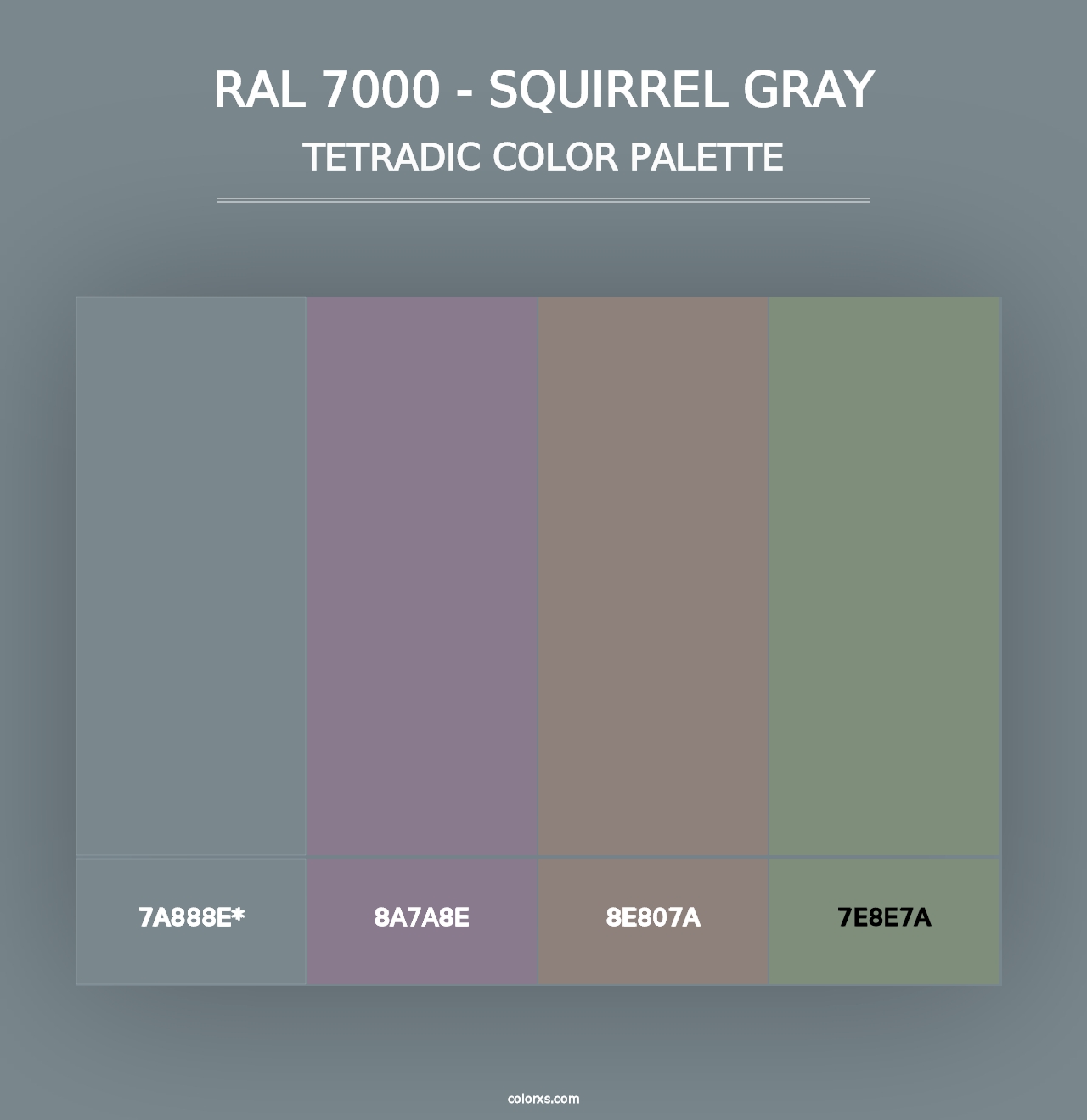 RAL 7000 - Squirrel Gray - Tetradic Color Palette