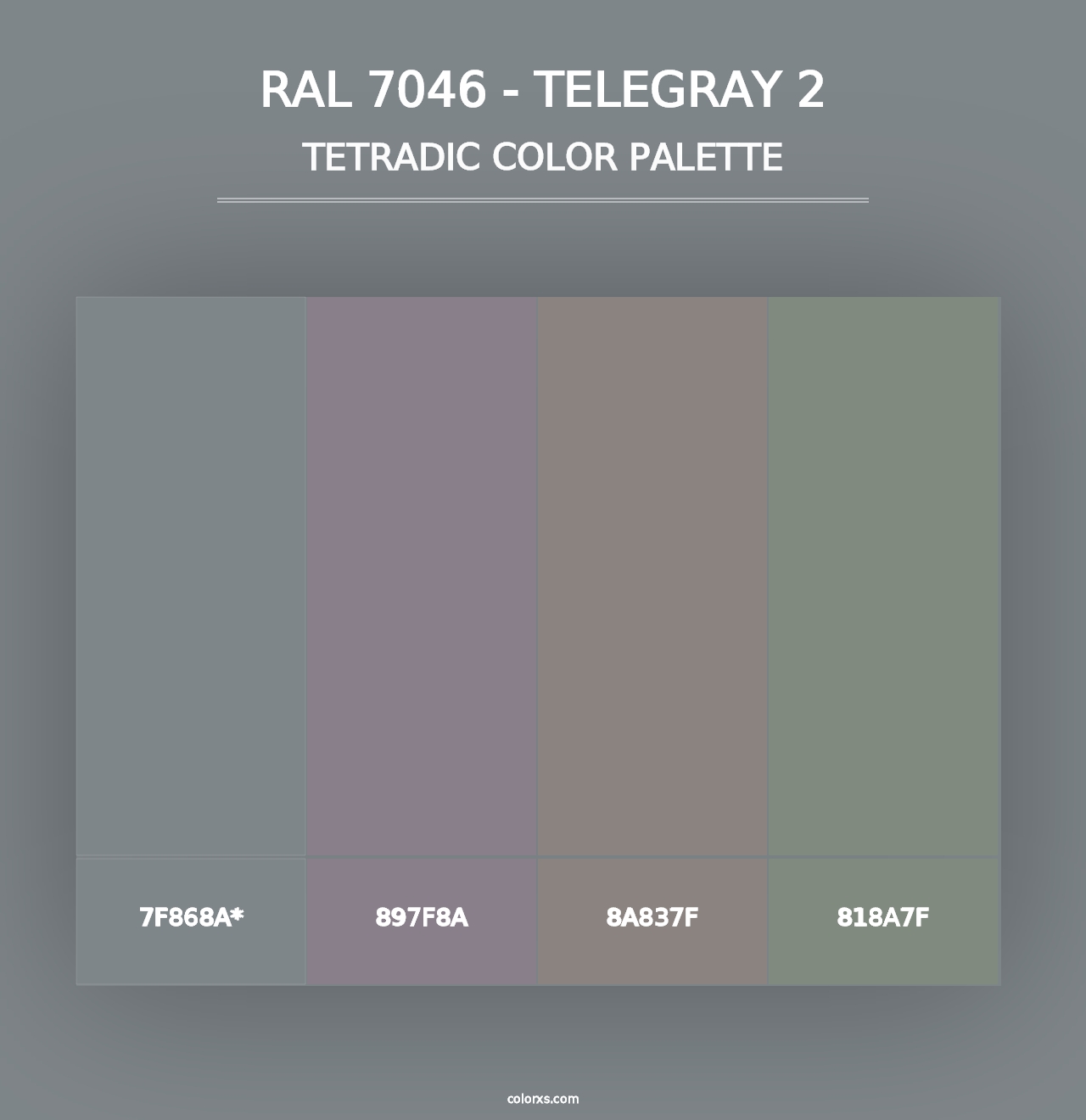 RAL 7046 - Telegray 2 - Tetradic Color Palette