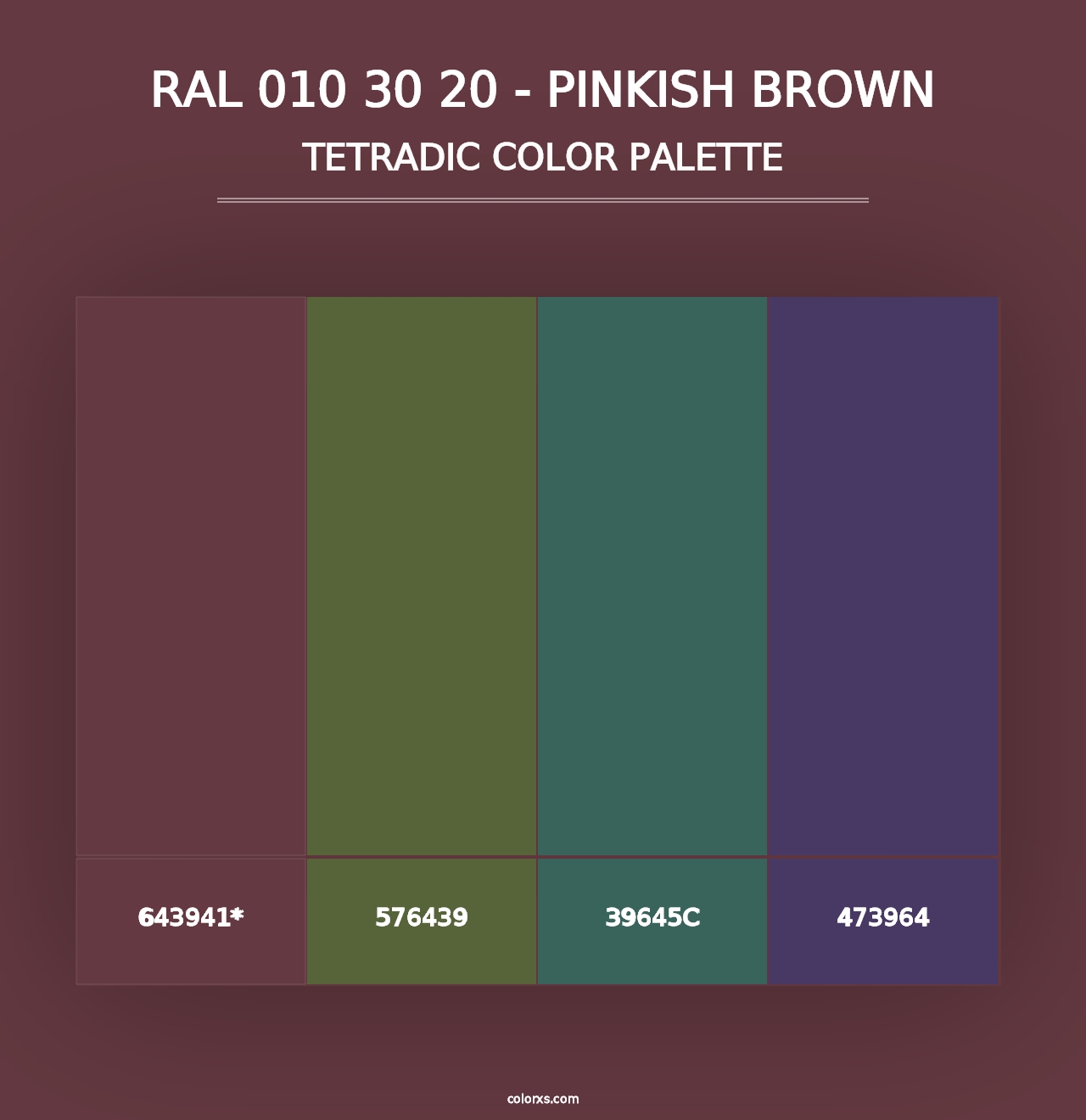 RAL 010 30 20 - Pinkish Brown - Tetradic Color Palette