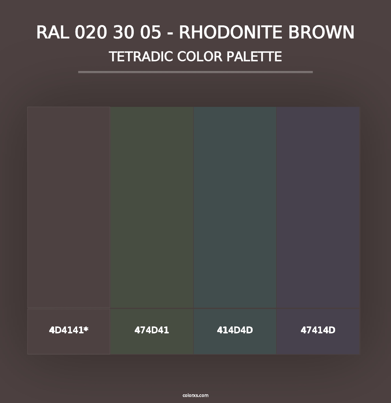 RAL 020 30 05 - Rhodonite Brown - Tetradic Color Palette