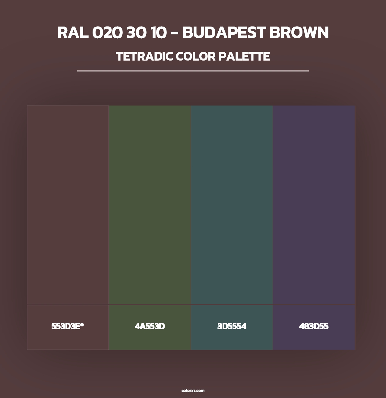 RAL 020 30 10 - Budapest Brown - Tetradic Color Palette