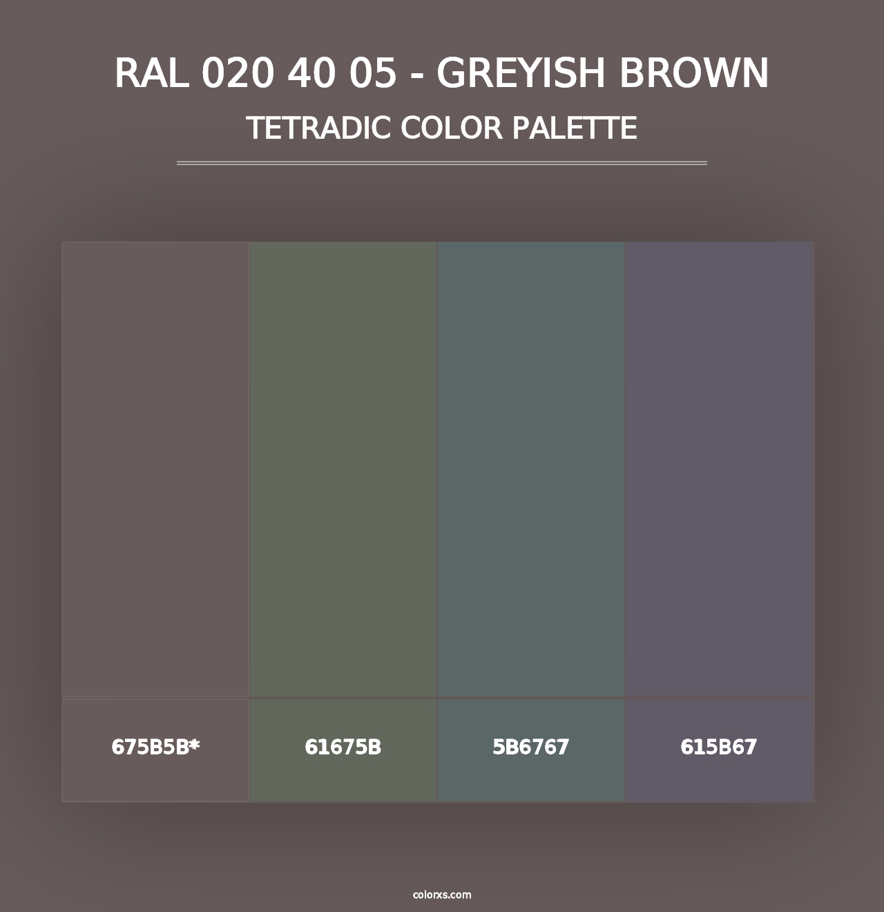 RAL 020 40 05 - Greyish Brown - Tetradic Color Palette