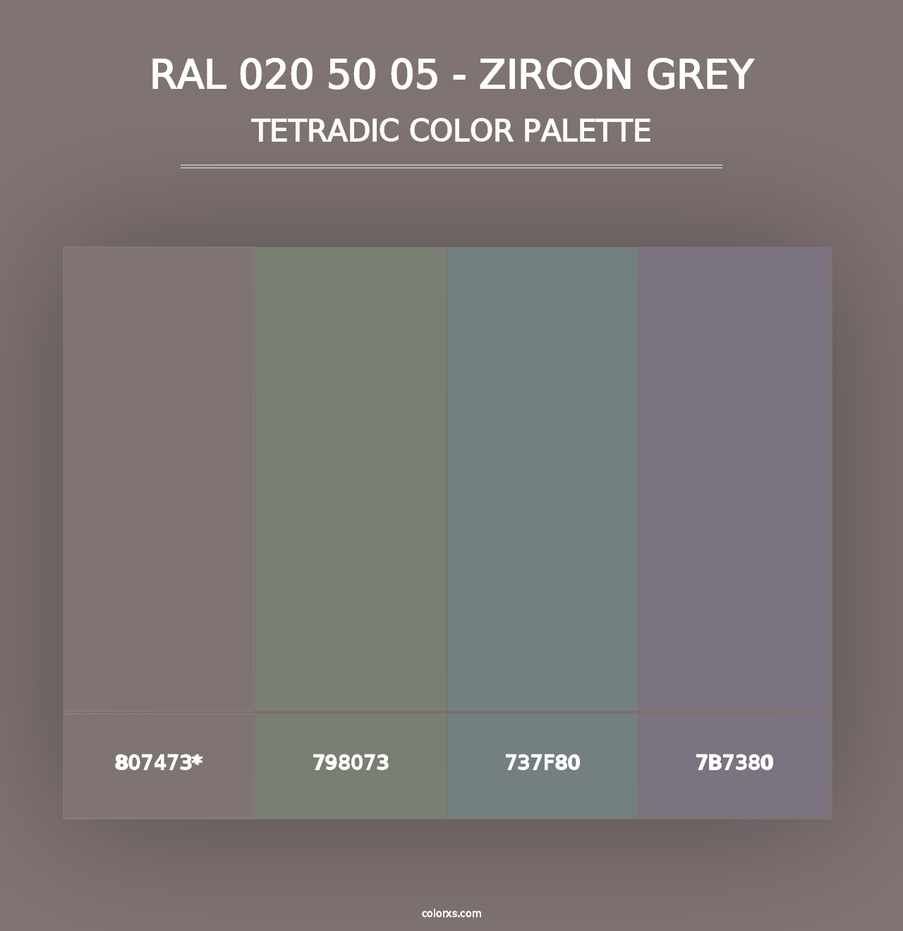 RAL 020 50 05 - Zircon Grey - Tetradic Color Palette