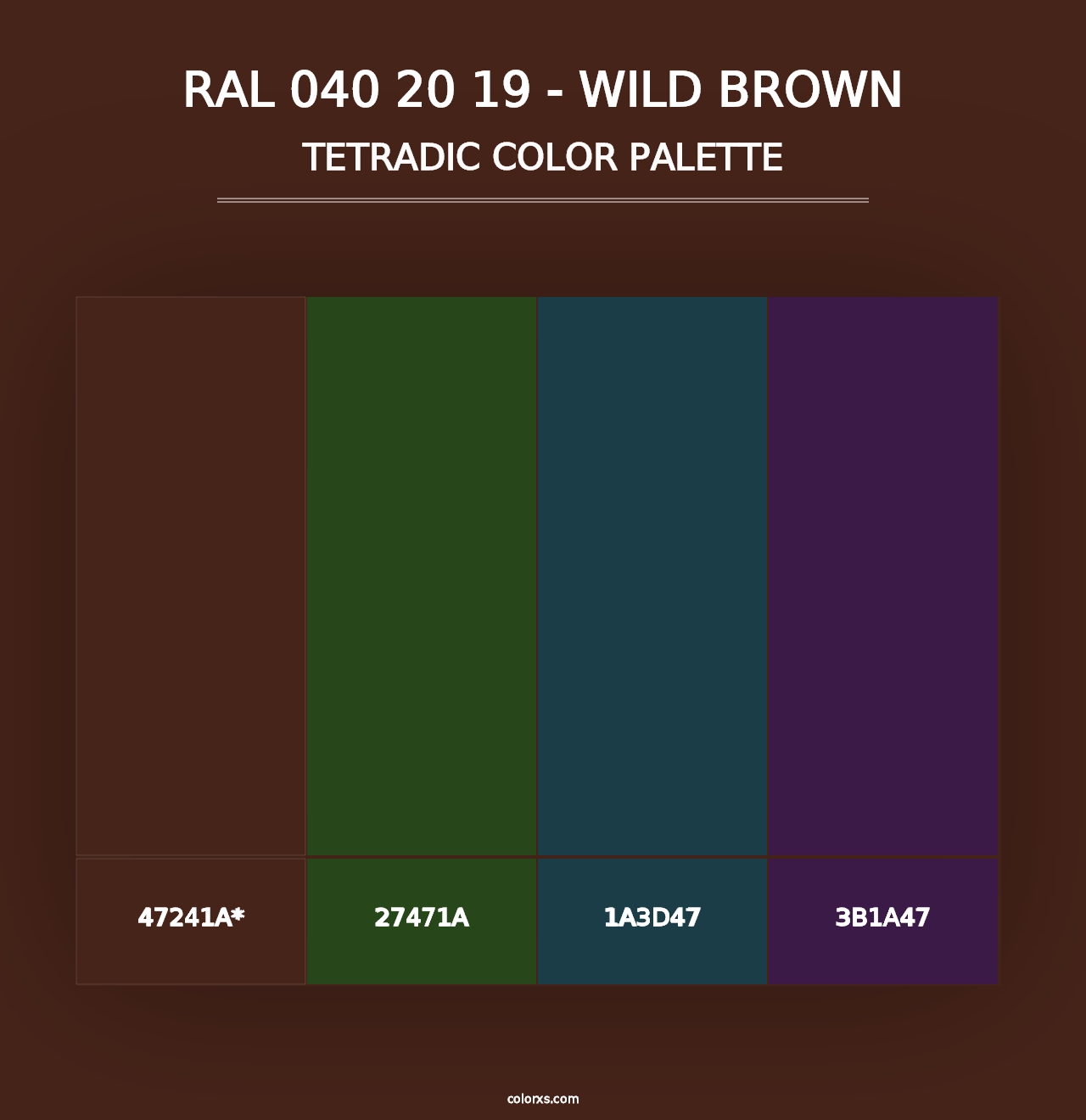 RAL 040 20 19 - Wild Brown - Tetradic Color Palette