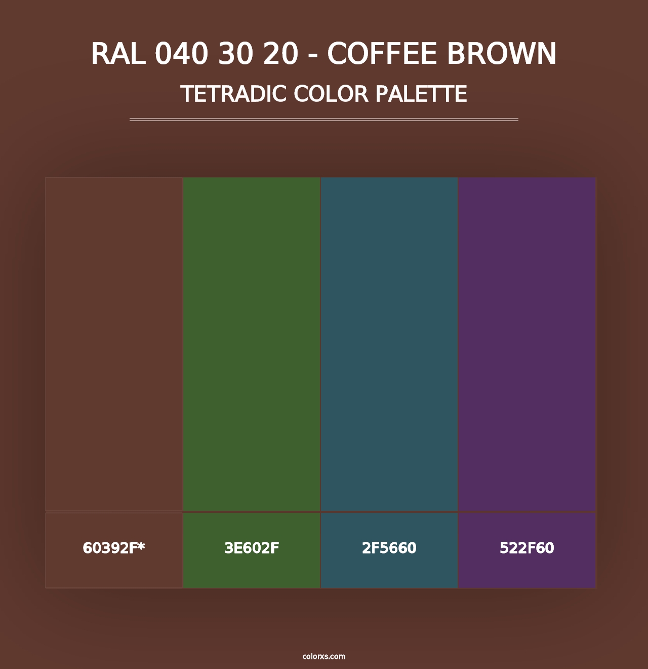 RAL 040 30 20 - Coffee Brown - Tetradic Color Palette