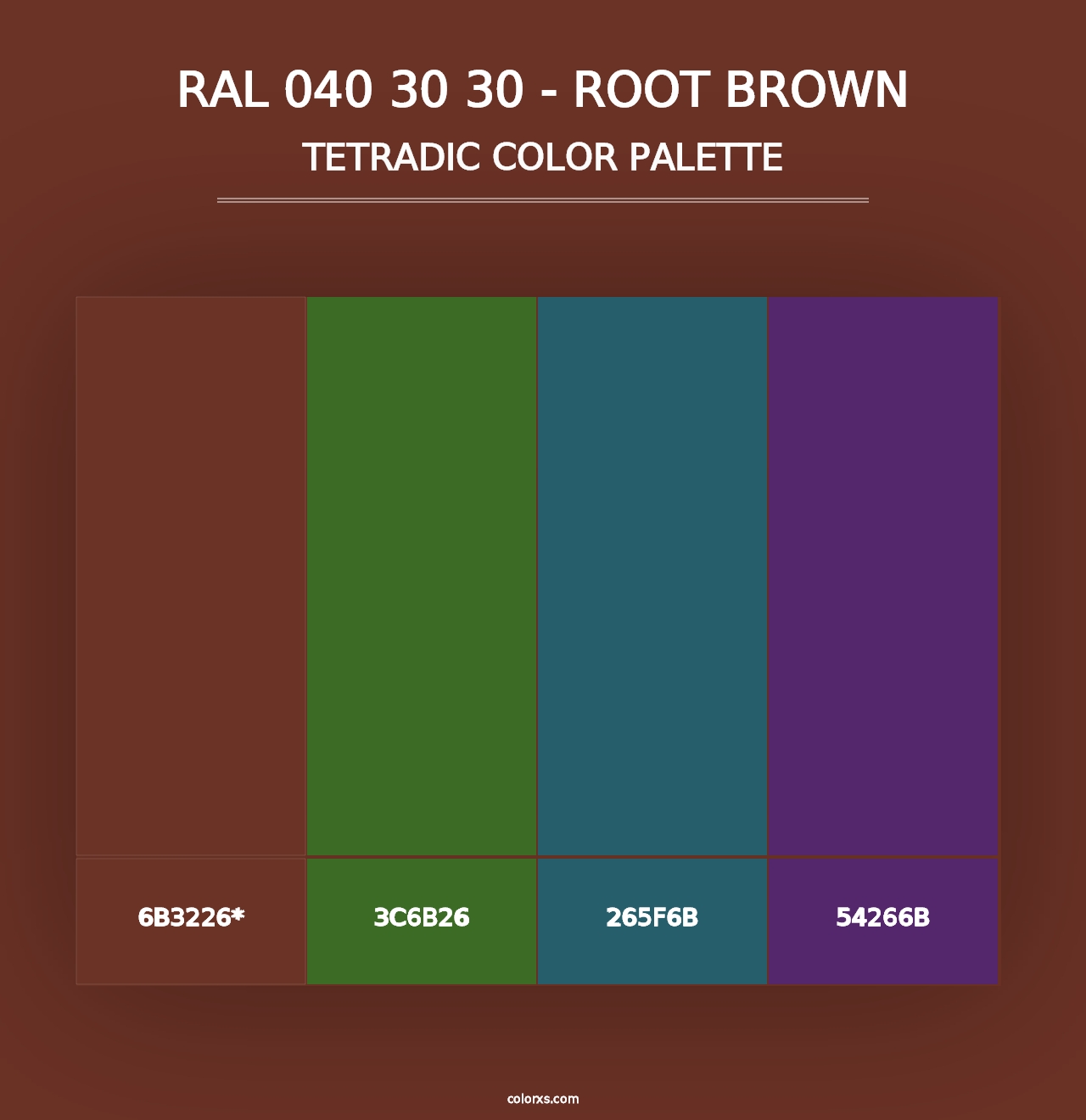 RAL 040 30 30 - Root Brown - Tetradic Color Palette