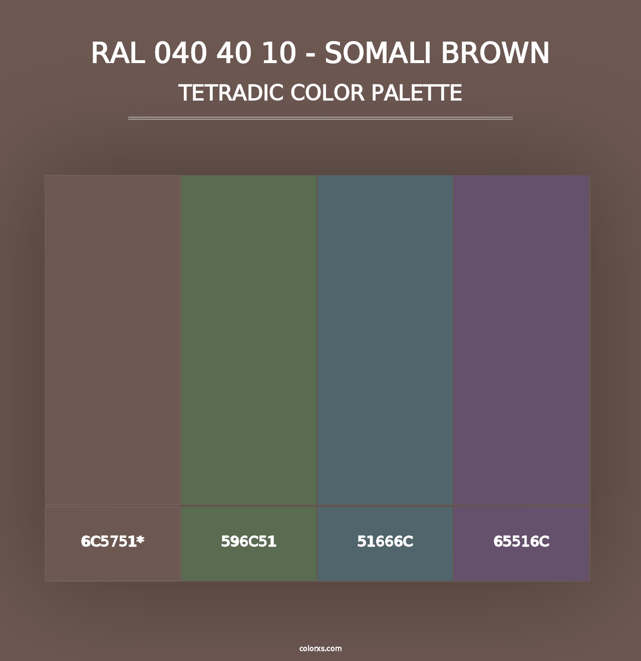 RAL 040 40 10 - Somali Brown - Tetradic Color Palette