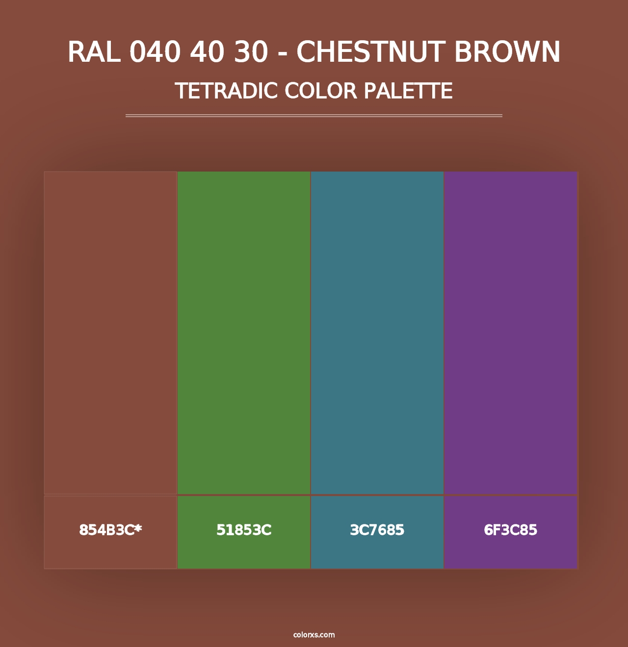 RAL 040 40 30 - Chestnut Brown - Tetradic Color Palette