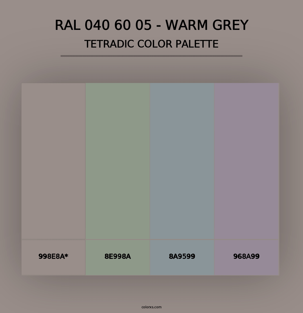 RAL 040 60 05 - Warm Grey - Tetradic Color Palette