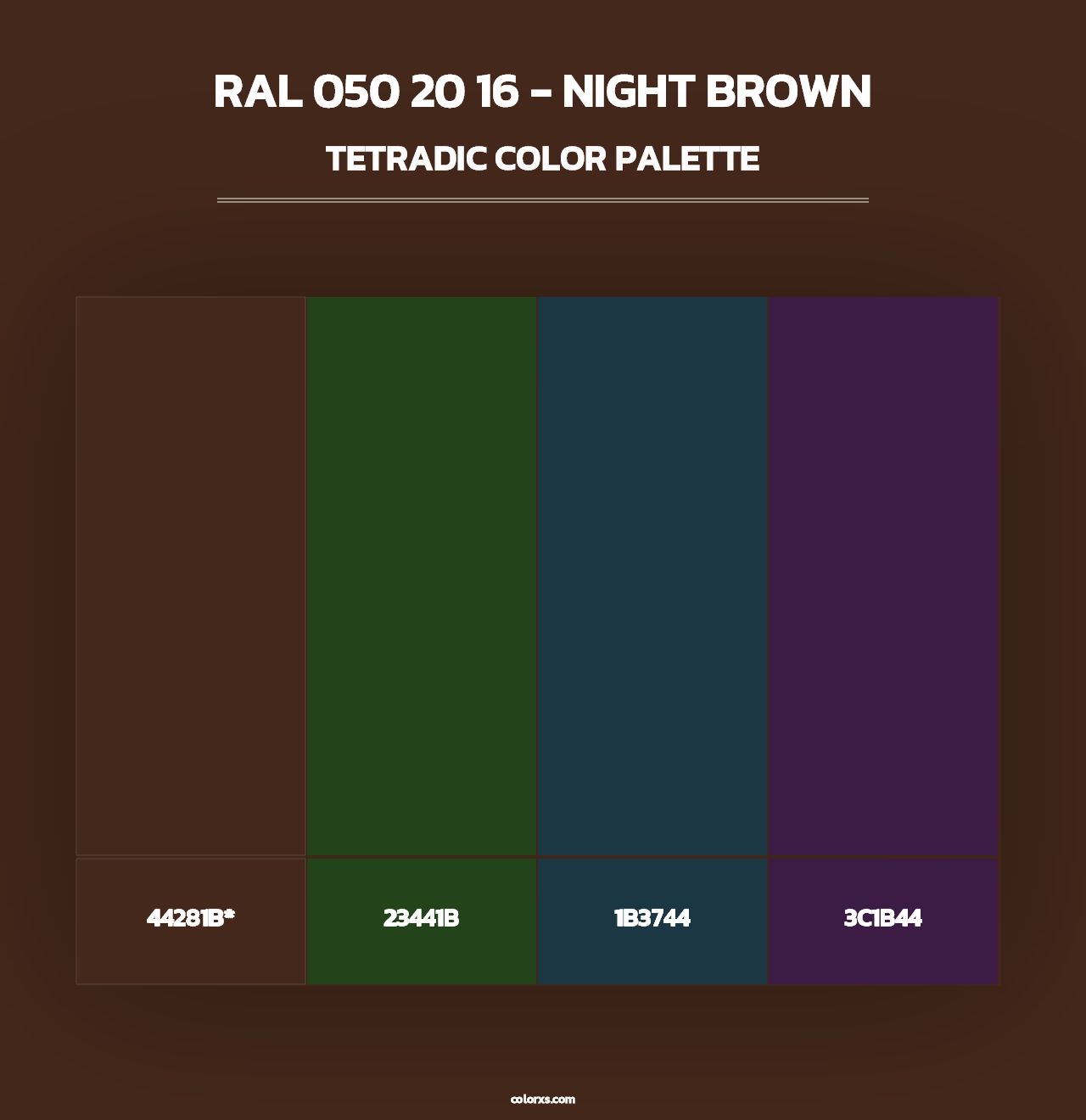 RAL 050 20 16 - Night Brown - Tetradic Color Palette