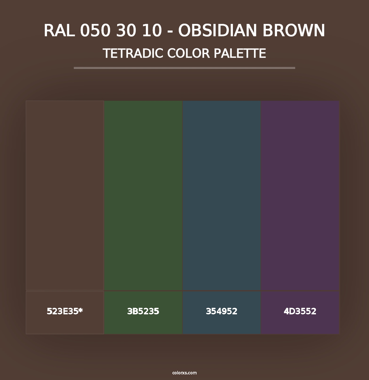 RAL 050 30 10 - Obsidian Brown - Tetradic Color Palette