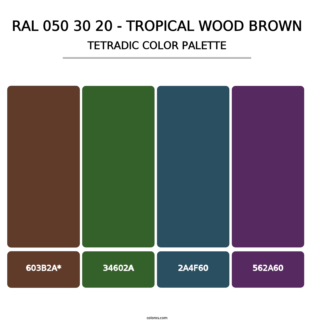 RAL 050 30 20 - Tropical Wood Brown - Tetradic Color Palette