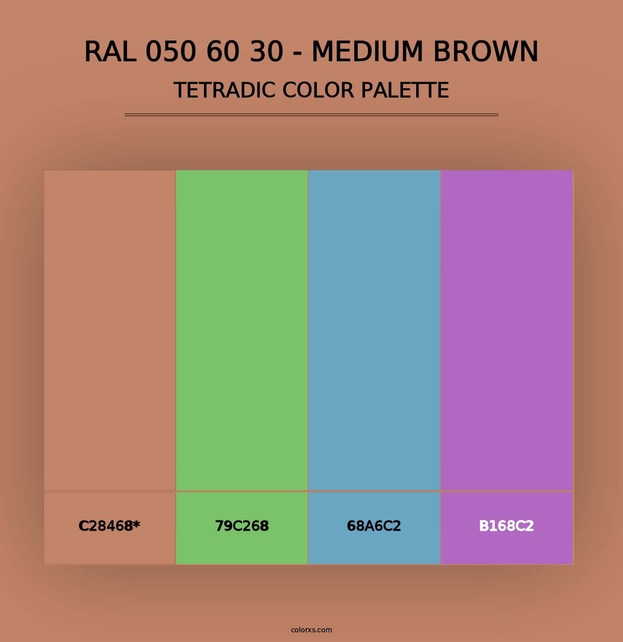 RAL 050 60 30 - Medium Brown - Tetradic Color Palette