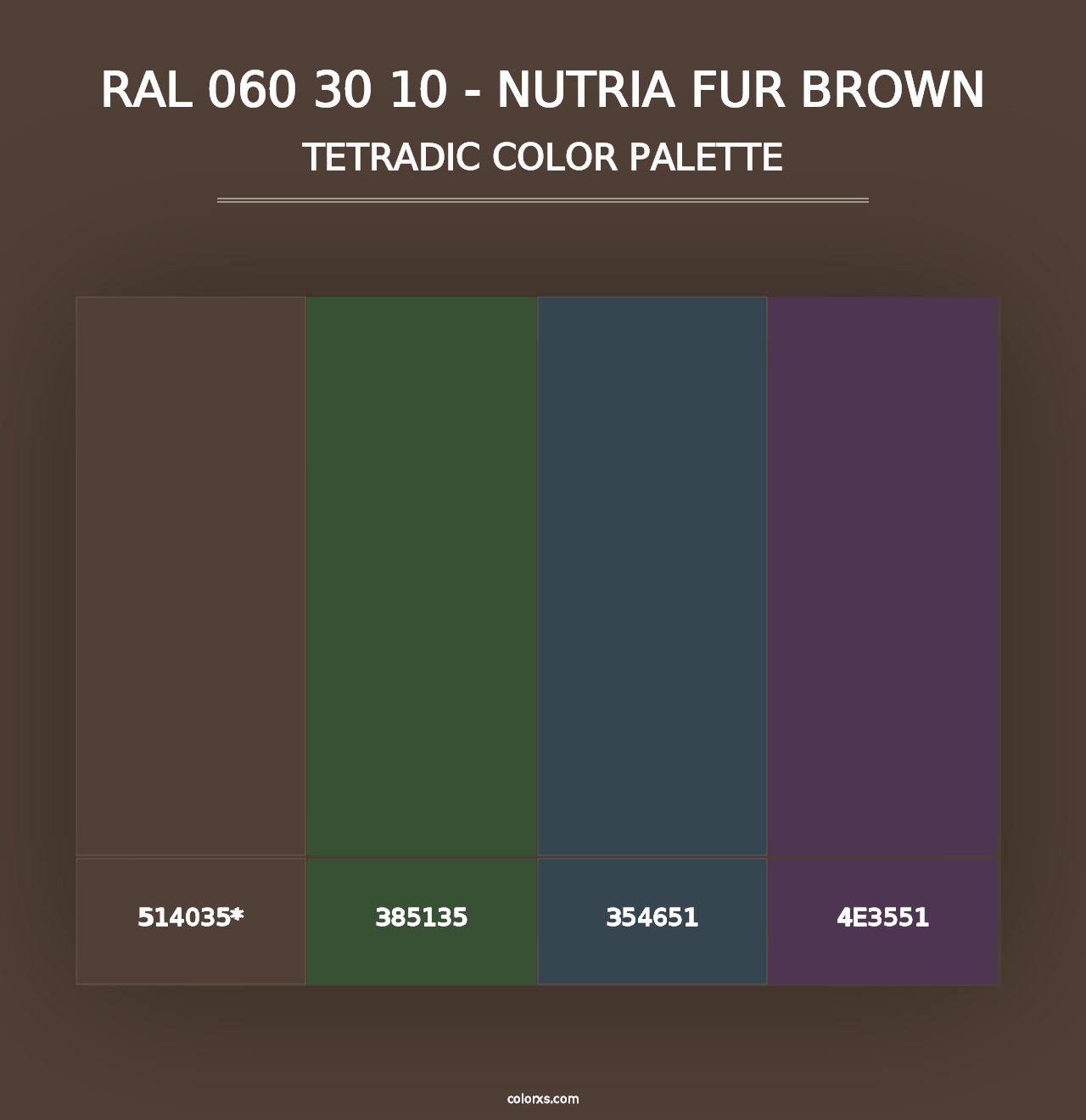 RAL 060 30 10 - Nutria Fur Brown - Tetradic Color Palette