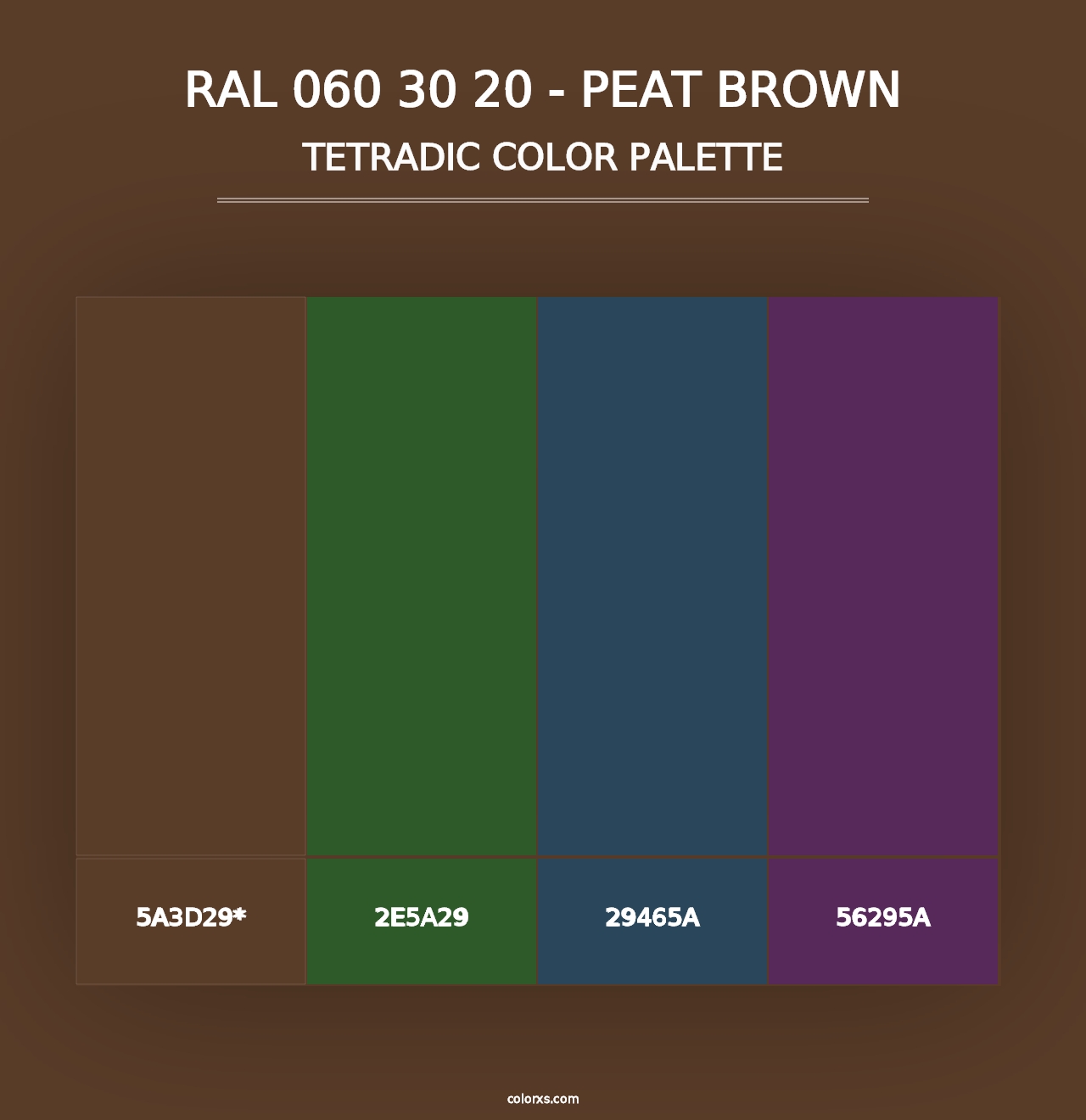 RAL 060 30 20 - Peat Brown - Tetradic Color Palette