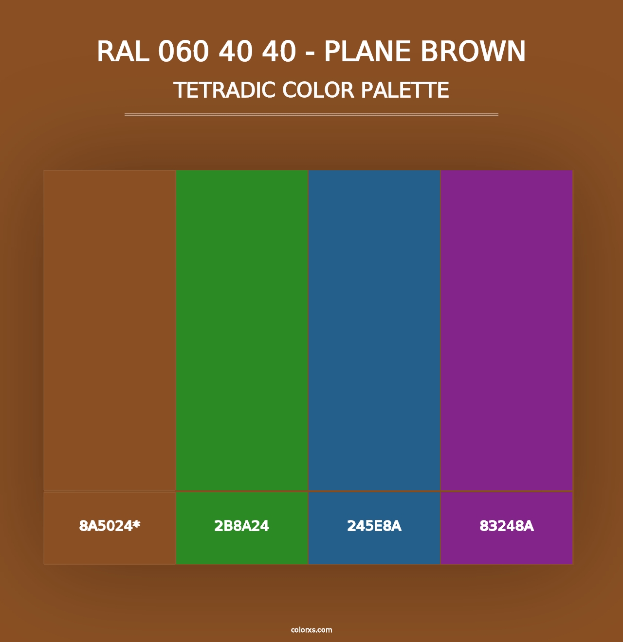 RAL 060 40 40 - Plane Brown - Tetradic Color Palette