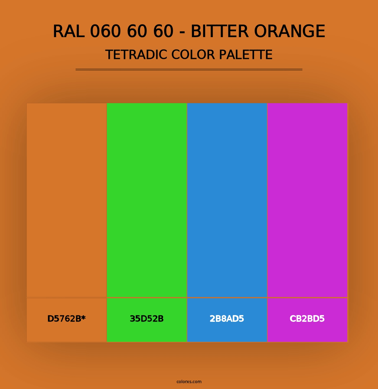 RAL 060 60 60 - Bitter Orange - Tetradic Color Palette