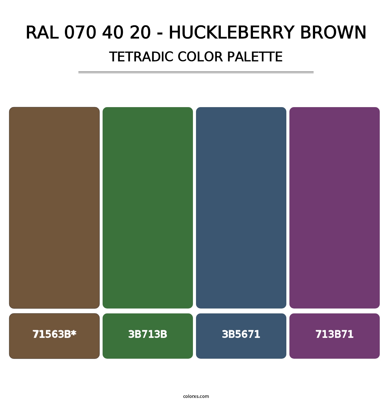 RAL 070 40 20 - Huckleberry Brown - Tetradic Color Palette