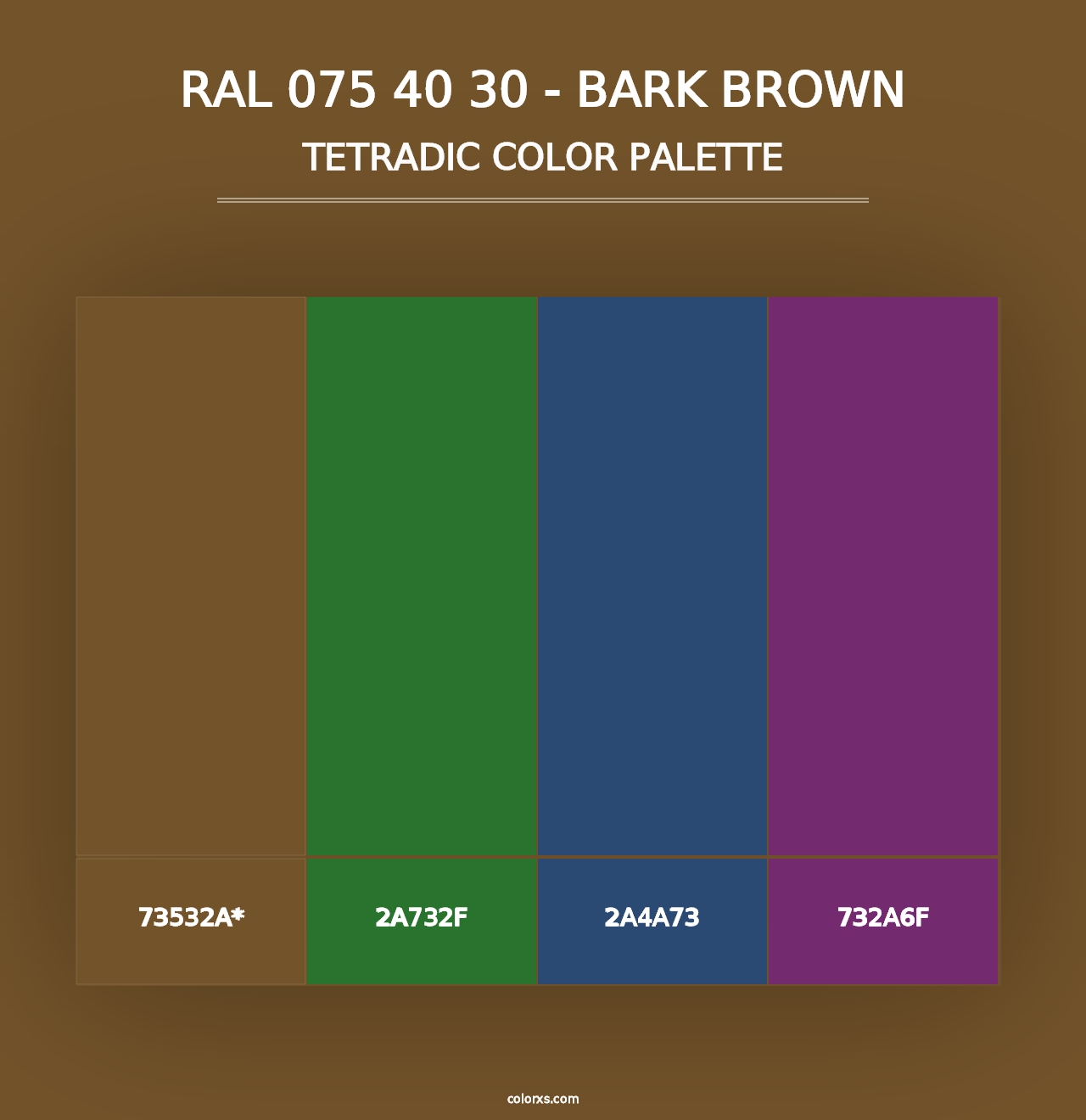 RAL 075 40 30 - Bark Brown - Tetradic Color Palette