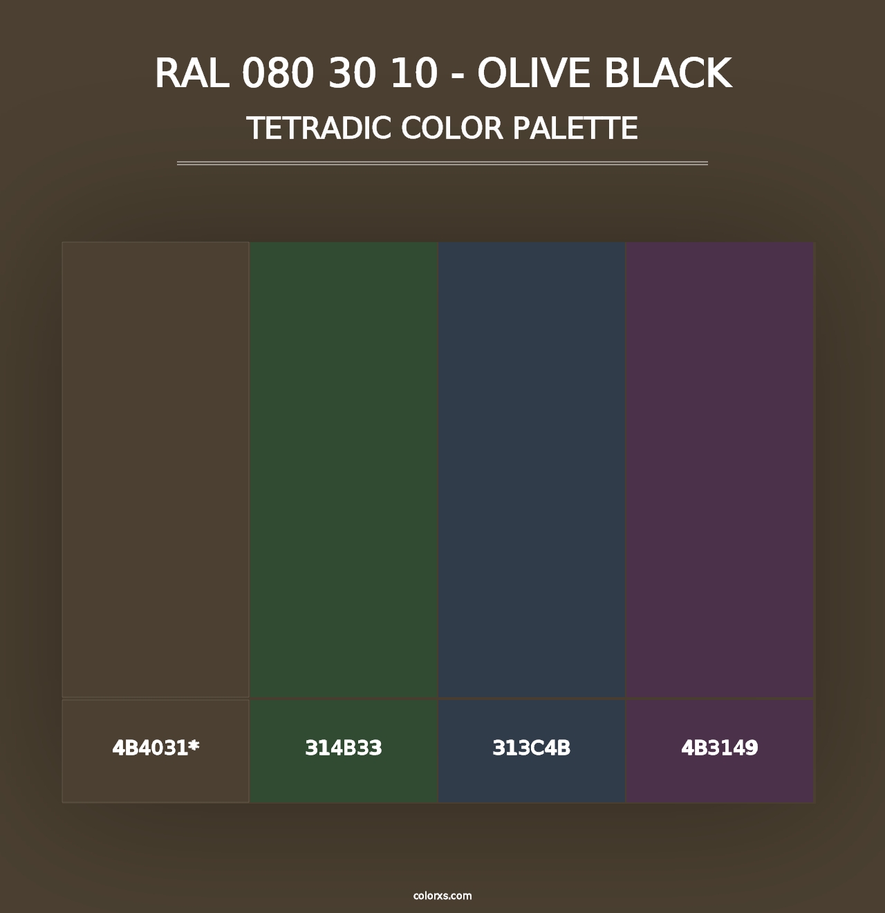 RAL 080 30 10 - Olive Black - Tetradic Color Palette