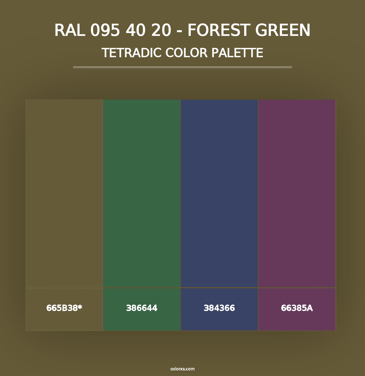 RAL 095 40 20 - Forest Green - Tetradic Color Palette